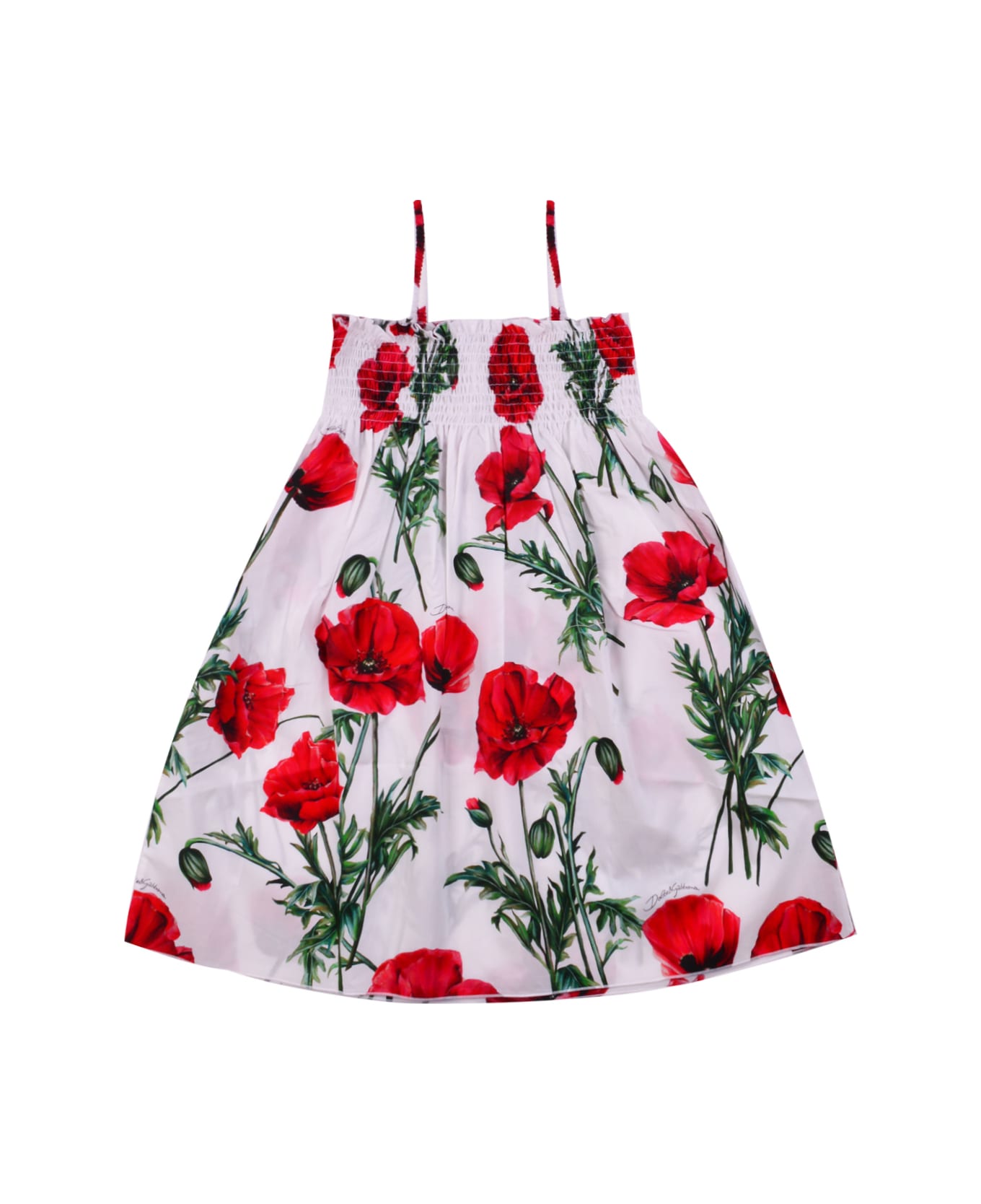 Dolce & Gabbana Poplin Dress With Poppy Print - Multicolor