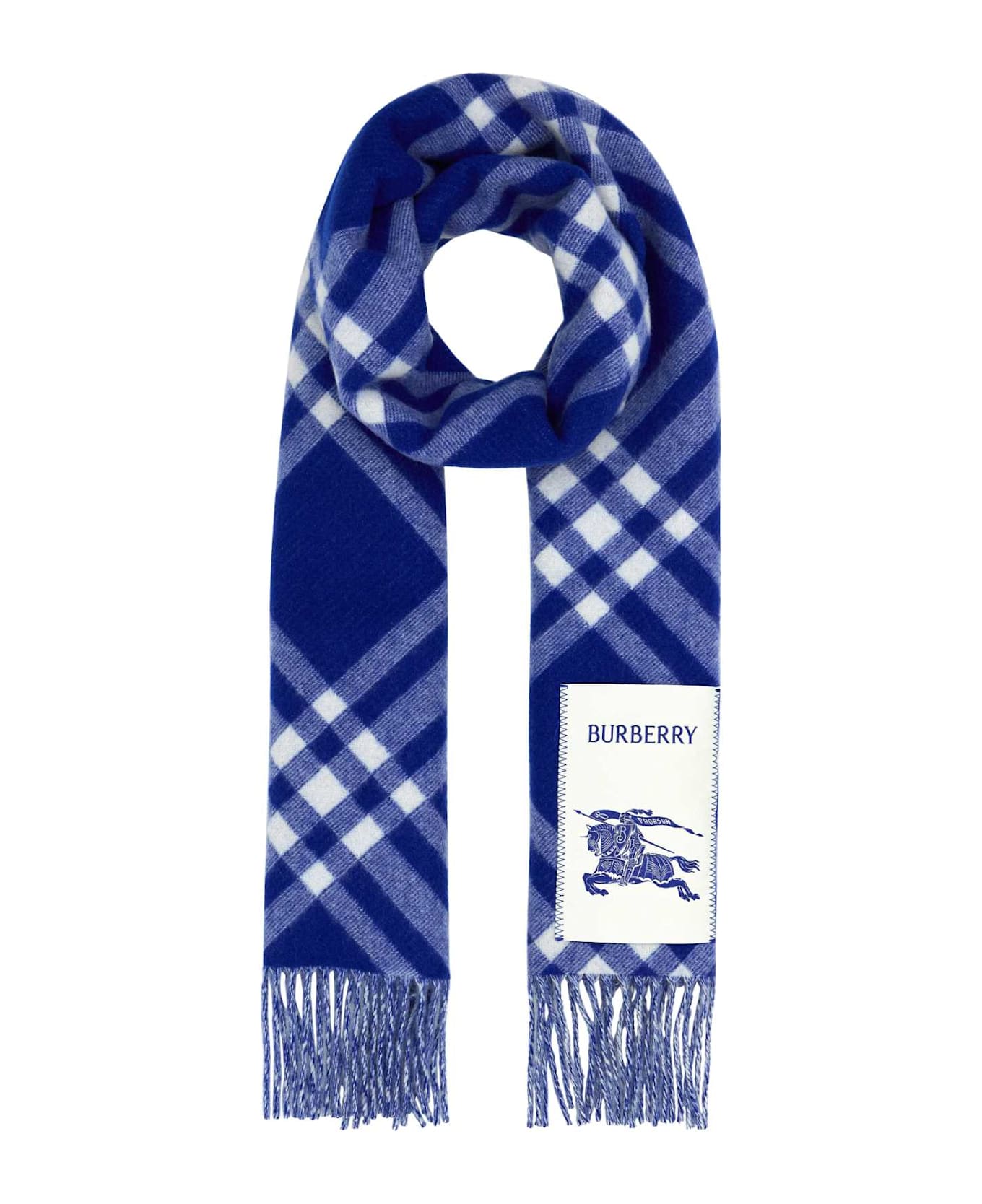 マフラー・ストール Burberry FW25 Embroidered cashmere scarf (8099690 C1427) Burberry Embroidered Cashmere Scarf | italist