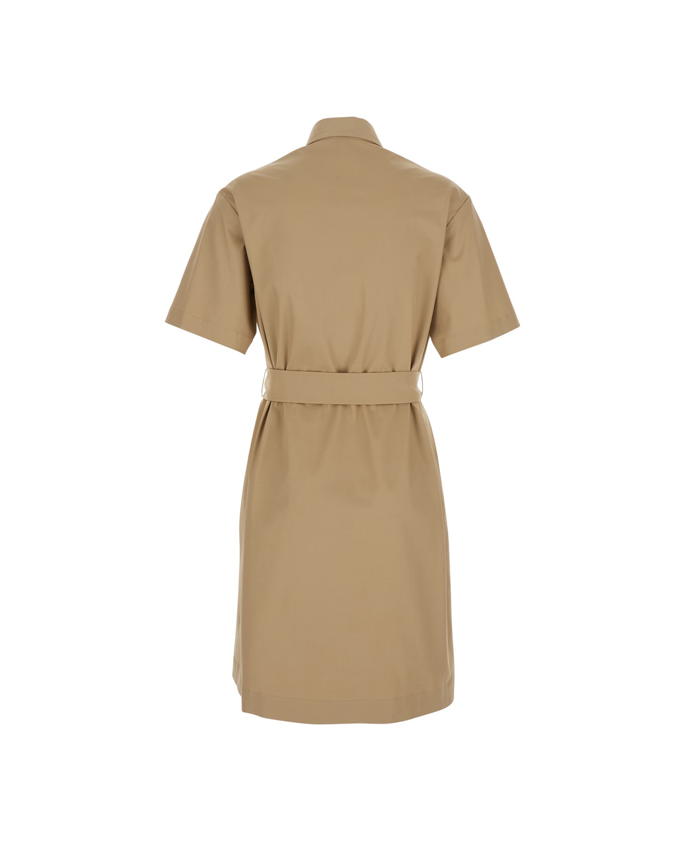 Antonelli Beige Dress With Classic Collar And Waist Belt In Cotton Woman - Beige
