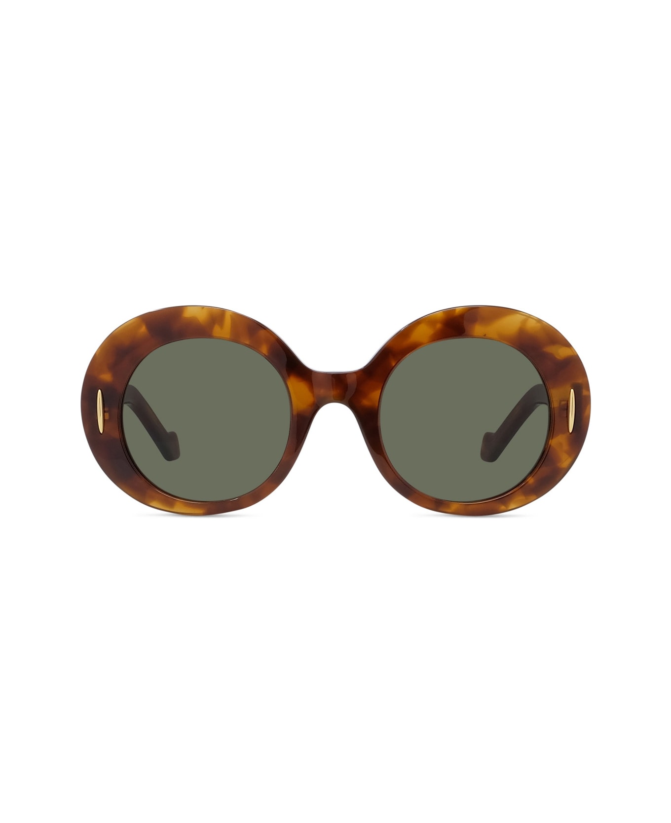 Loewe Lw40146i 53n Havana Sunglasses - Marrone