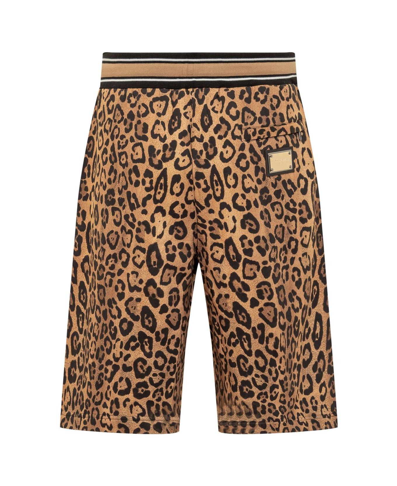 Dolce & Gabbana Cheetah-printed Drawstring Track Shorts - BROWN/BLACK