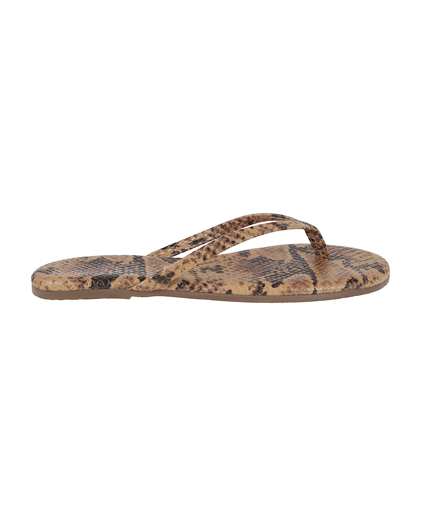 Tkees Studio Exotic - Studio Exotic Coco Snake