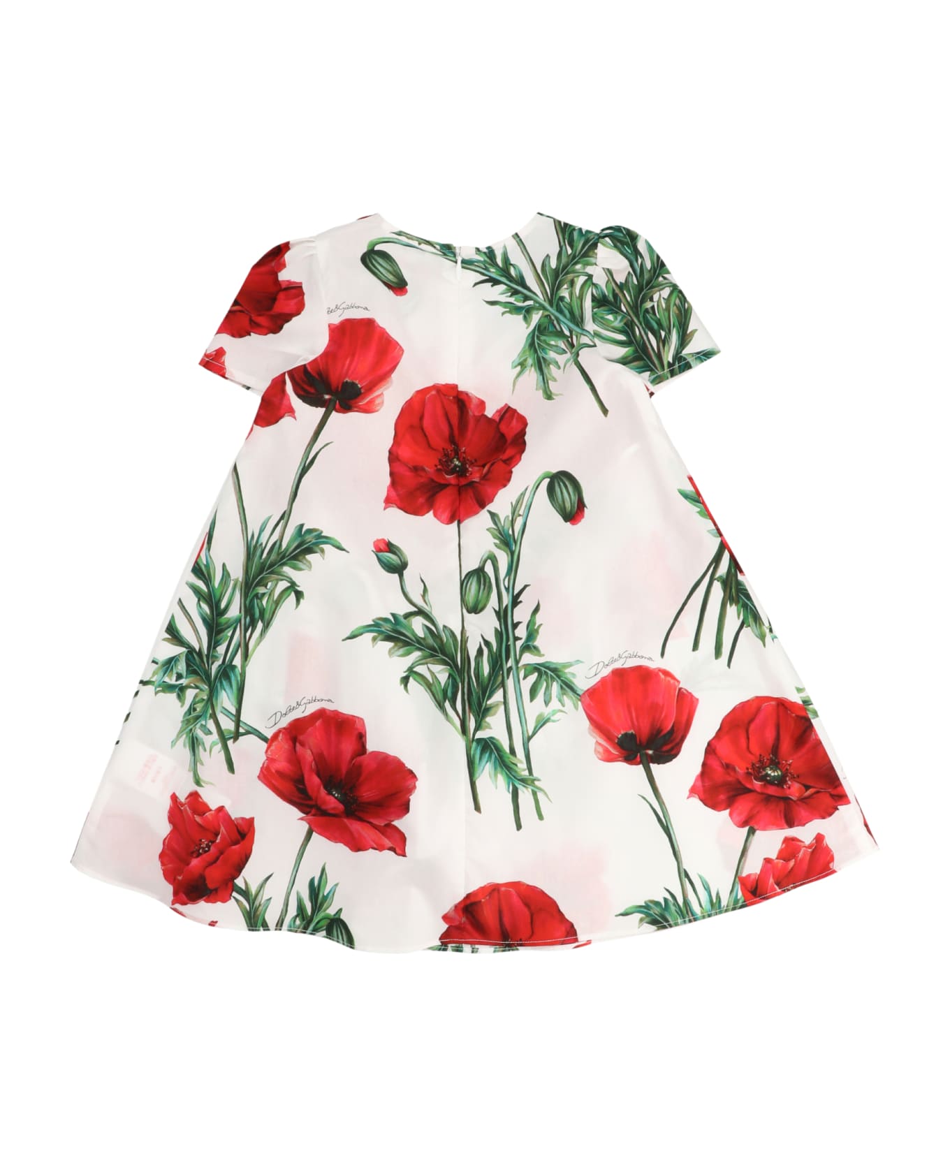 Dolce & Gabbana Floral Printed Dress - Multicolor