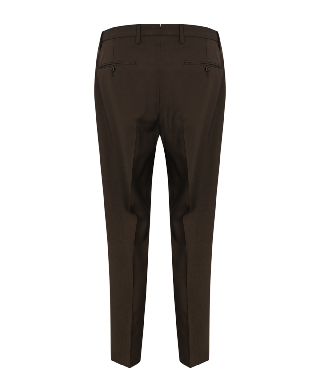 Briglia 1949 Portobellos Trousers With Wool Pleats - Marrone