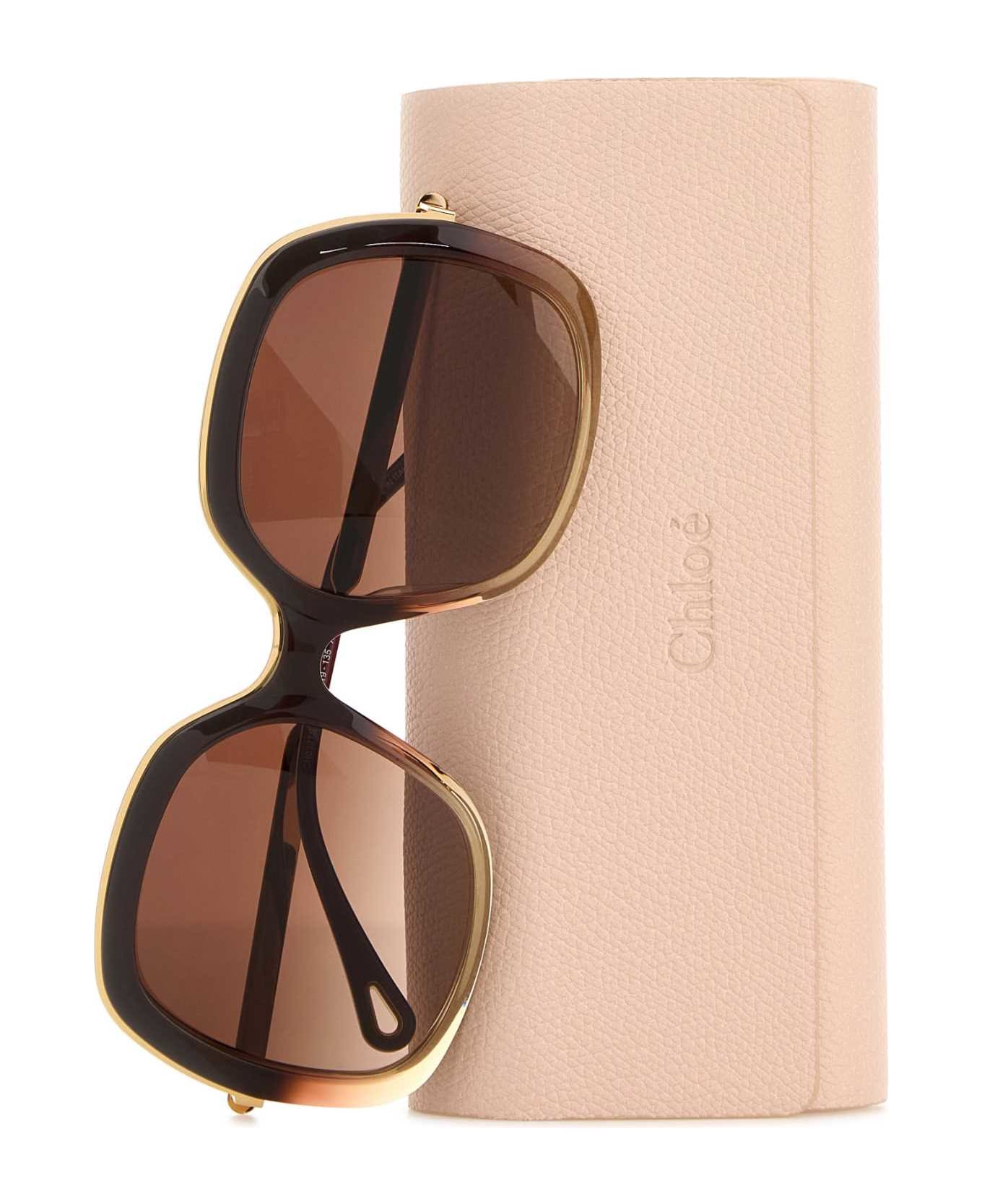 Chloé Brown Acetate Sunglasses - BROWNGOLDBROWN