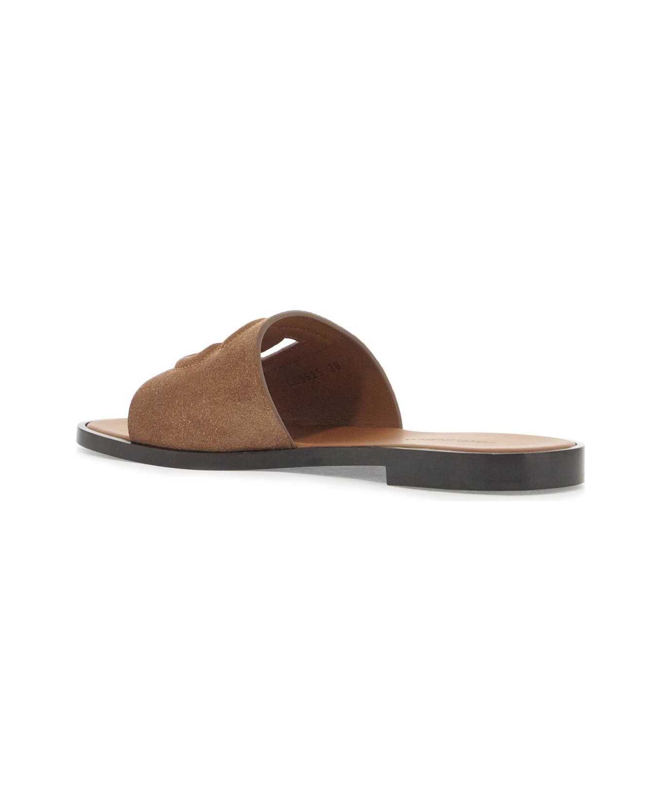 Dolce & Gabbana 'dg Logo Suede Slides For Stylish - NOCCIOLA (Brown)