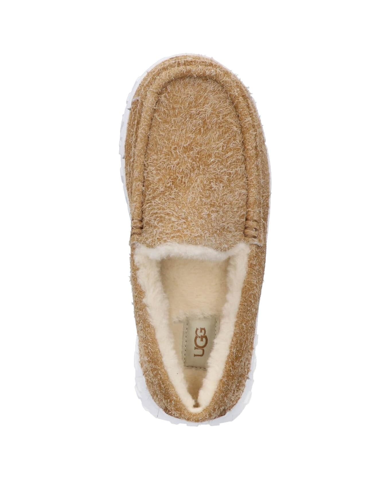 UGG 'ascot Vibram Wrap Tech' Loafers - Marrone