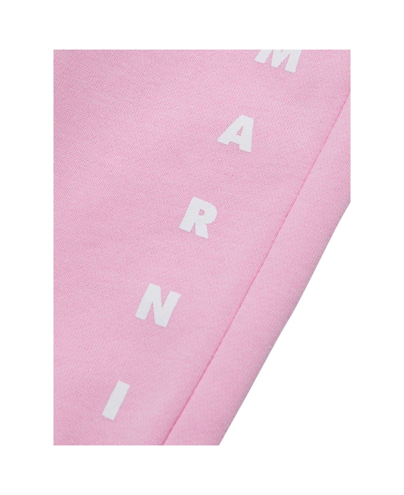 Marni Printed Trousers - Pink