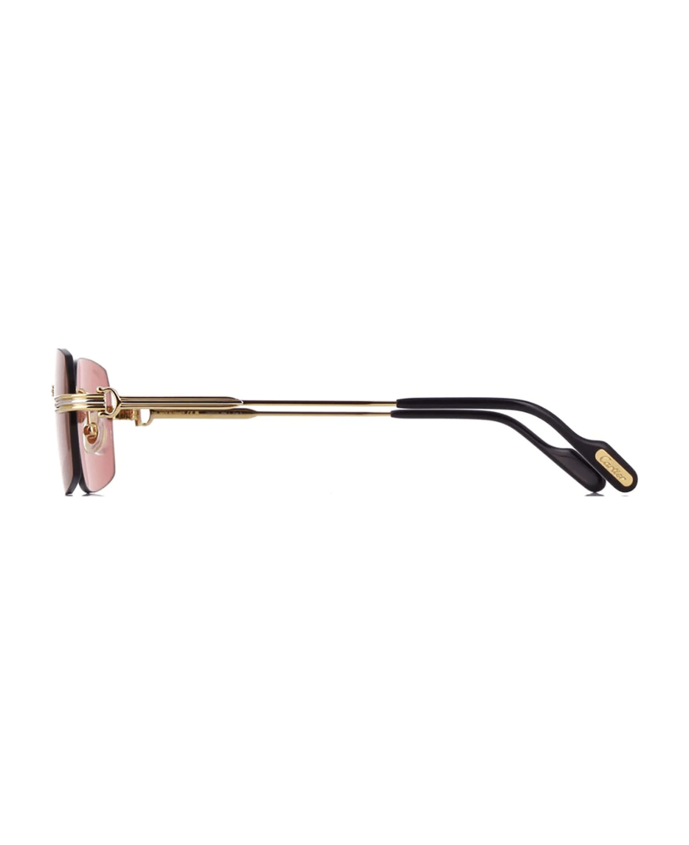 Cartier Eyewear Ct0271s Sunglasses - 008 gold gold red