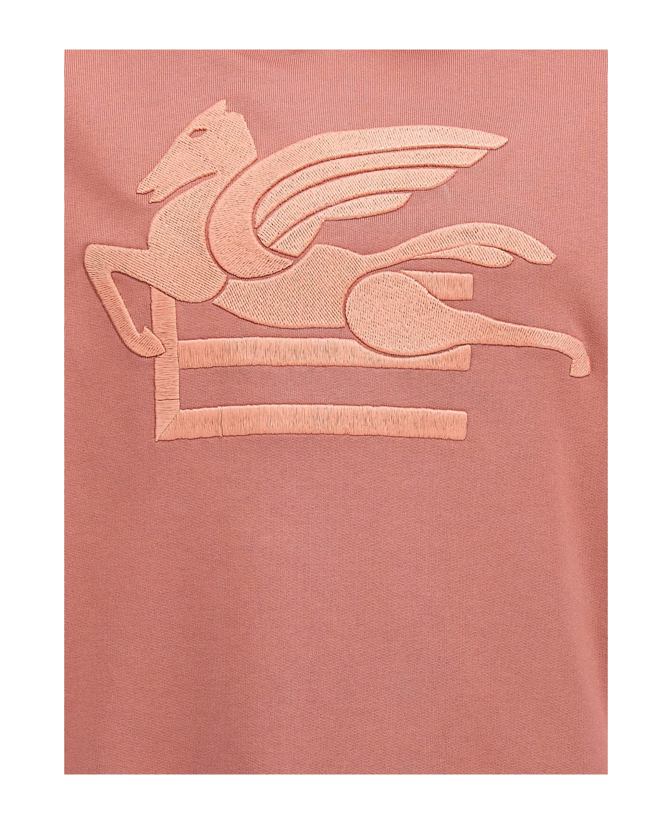 Etro Embroidered Logo Hoodie - PINK