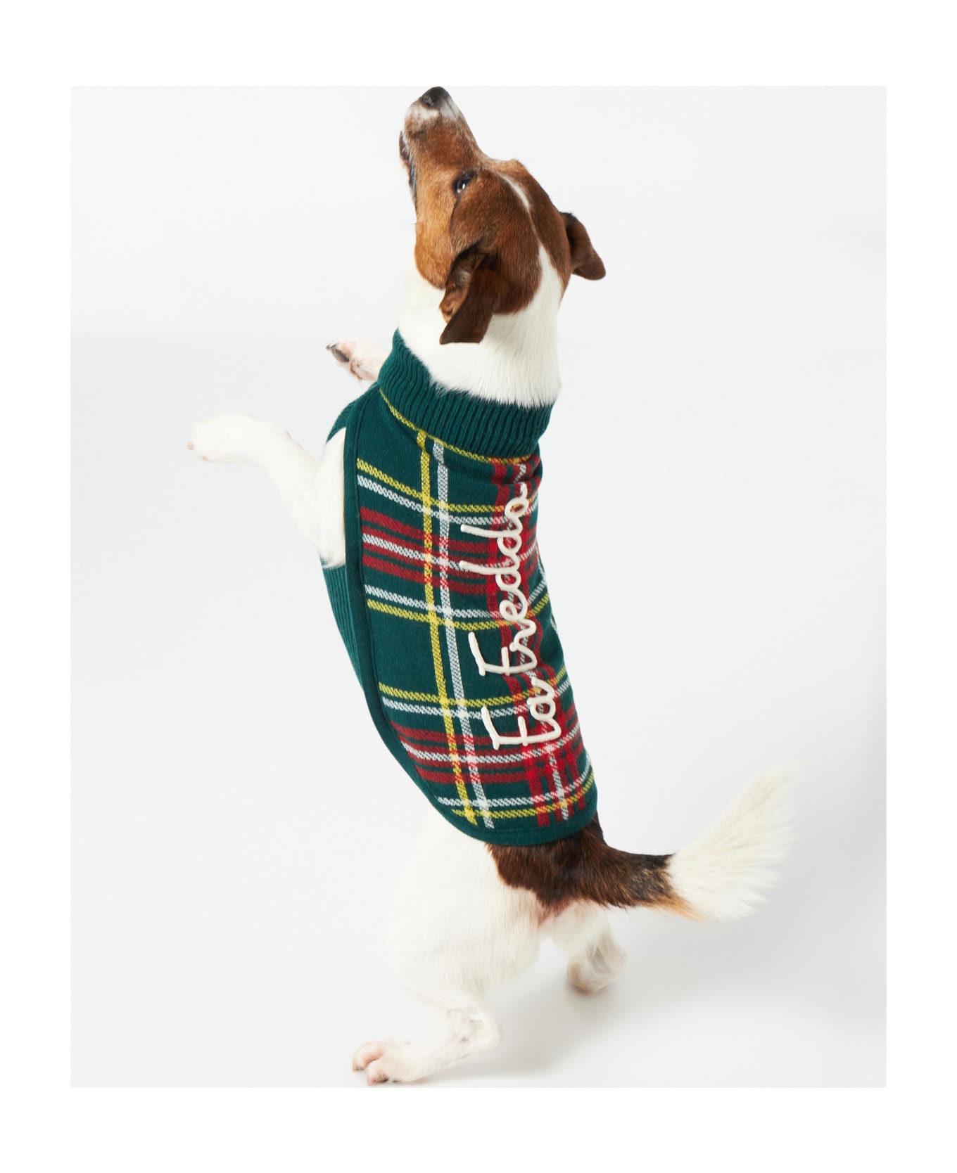 MC2 Saint Barth Dog Sweater With Tartan Jacquard - GREEN
