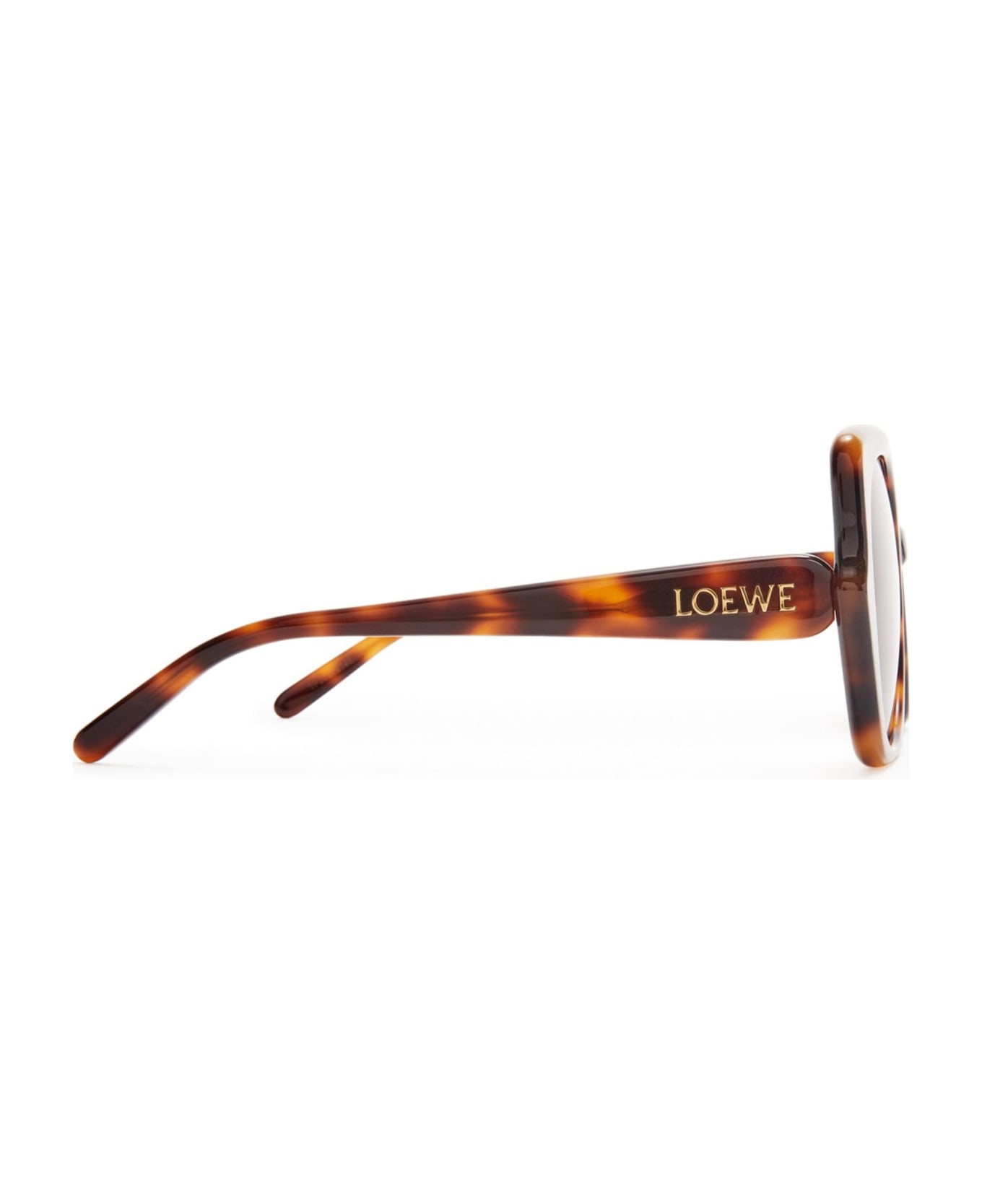 Loewe Fantasy Slim - Dark Havana Sunglasses - Havana