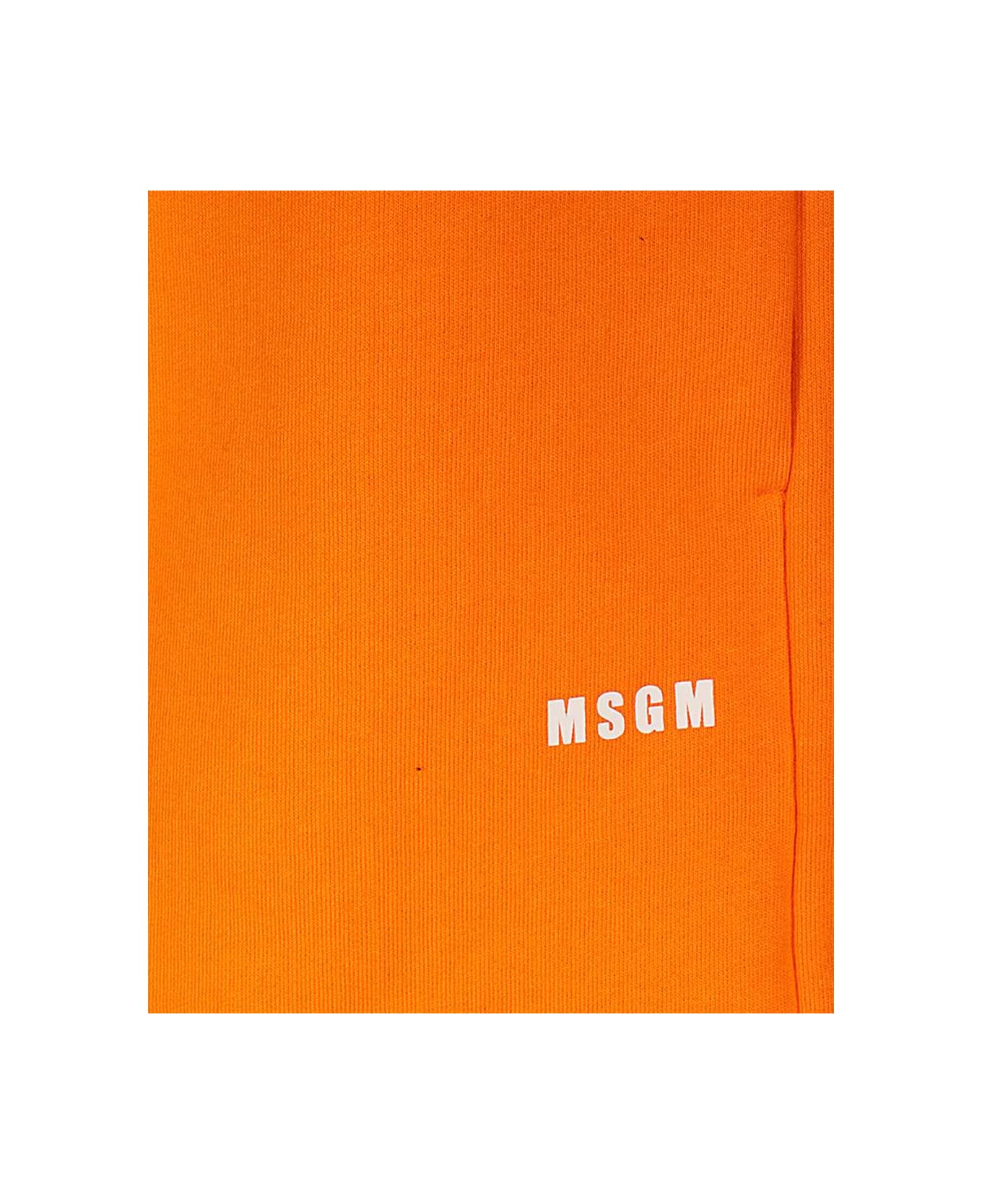 MSGM Cotton Bermuda Shorts - Orange