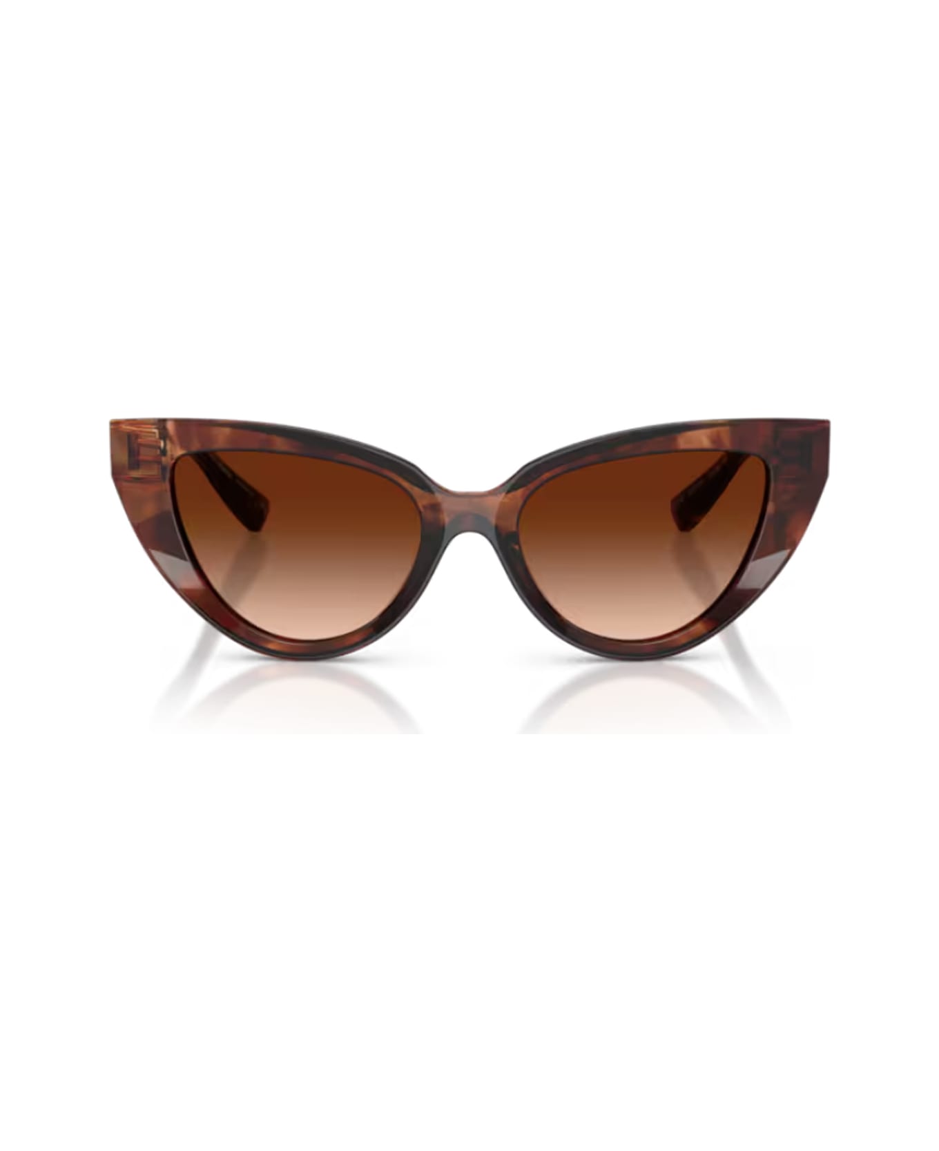 Dolce 
Gabbana Eyewear Dolce 
Gabbana Dg4497 322274 Havana Rosso Scuro Sunglasses - Havana