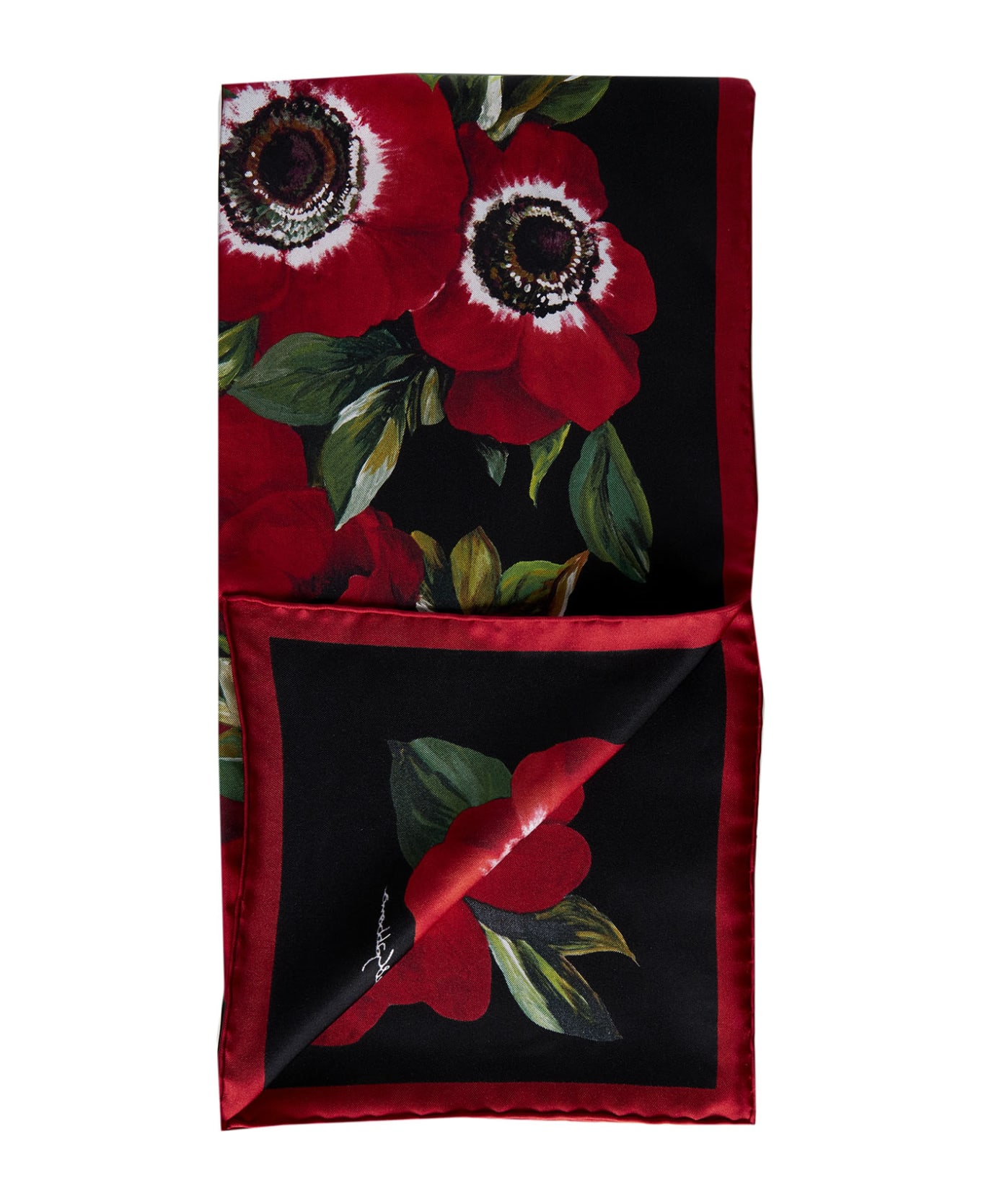 Dolce & Gabbana Scarf - Anemoni fdo nero