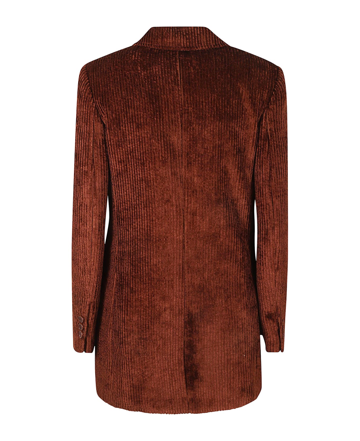 Alberta Ferretti Ribbed Two-button Blazer - Brown