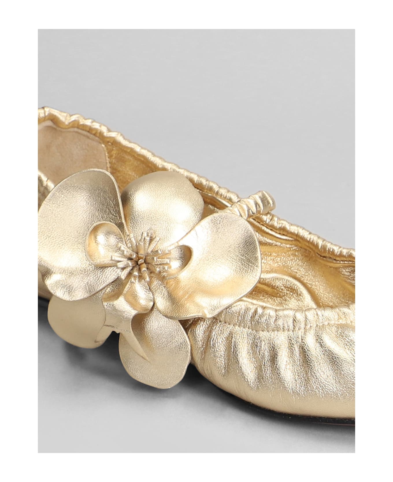 Zimmermann Ballet Flats In Gold Leather - gold