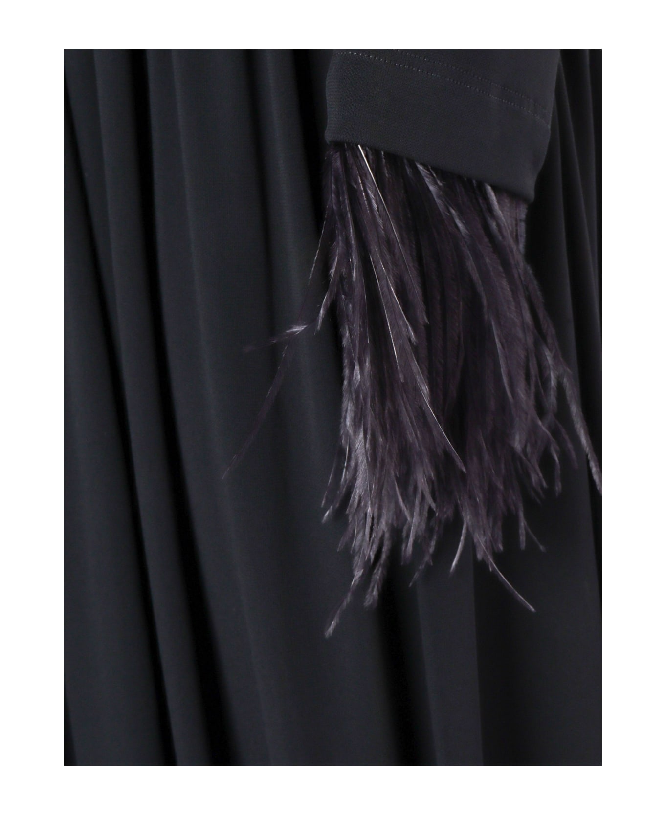 Alberta Ferretti Pleated Dress With Feathers - BLACK