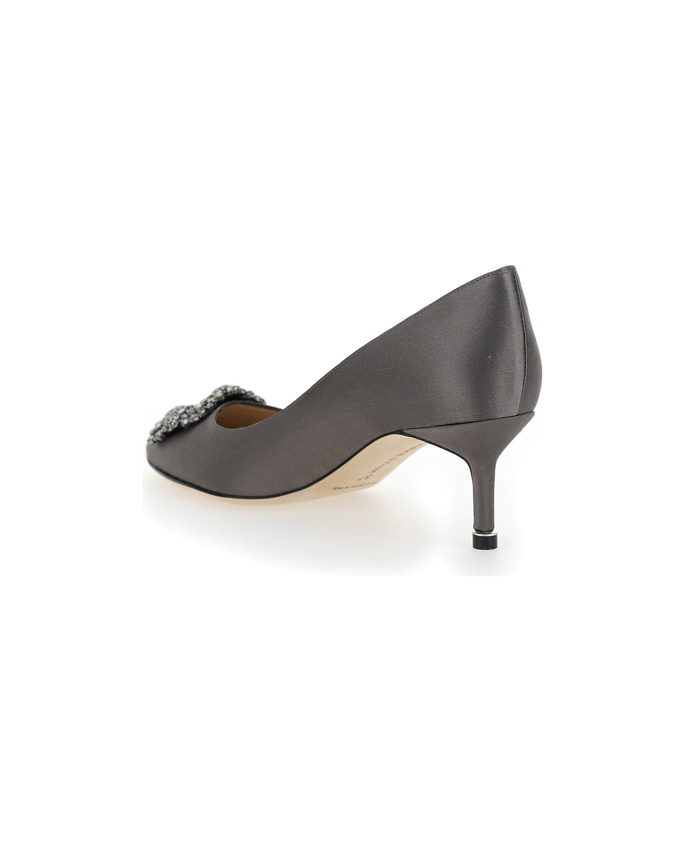 Manolo Blahnik Hangisi Pumps - Dgry