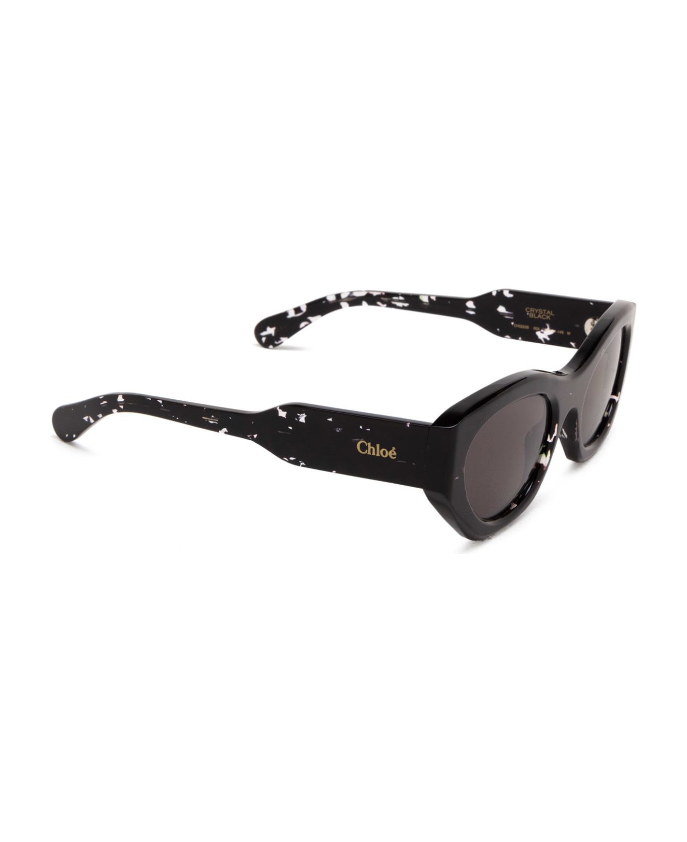 Chloé Eyewear Ch0220s Black Sunglasses - Black
