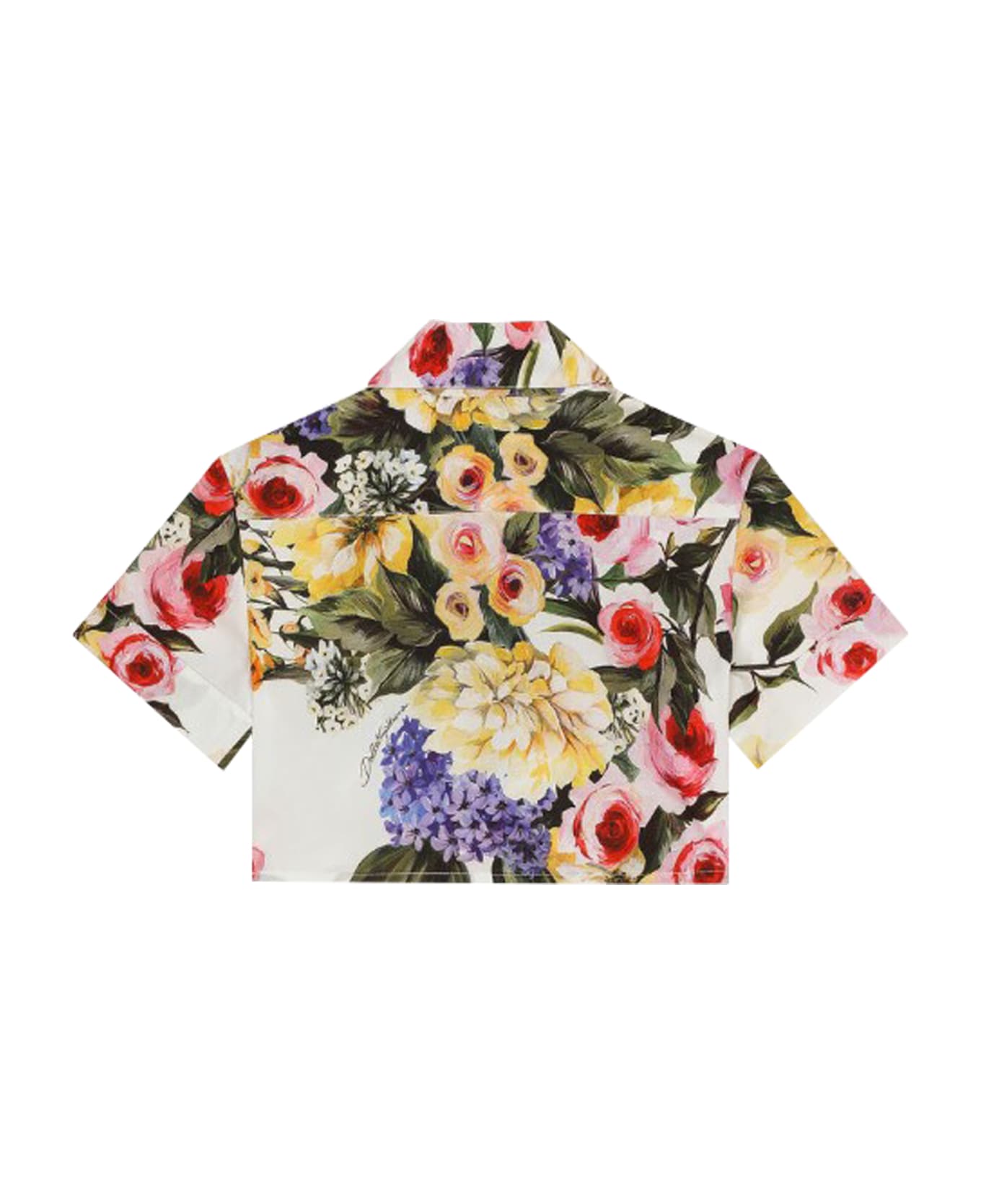 Dolce & Gabbana Poplin Shirt With Garden Print - Multicolor