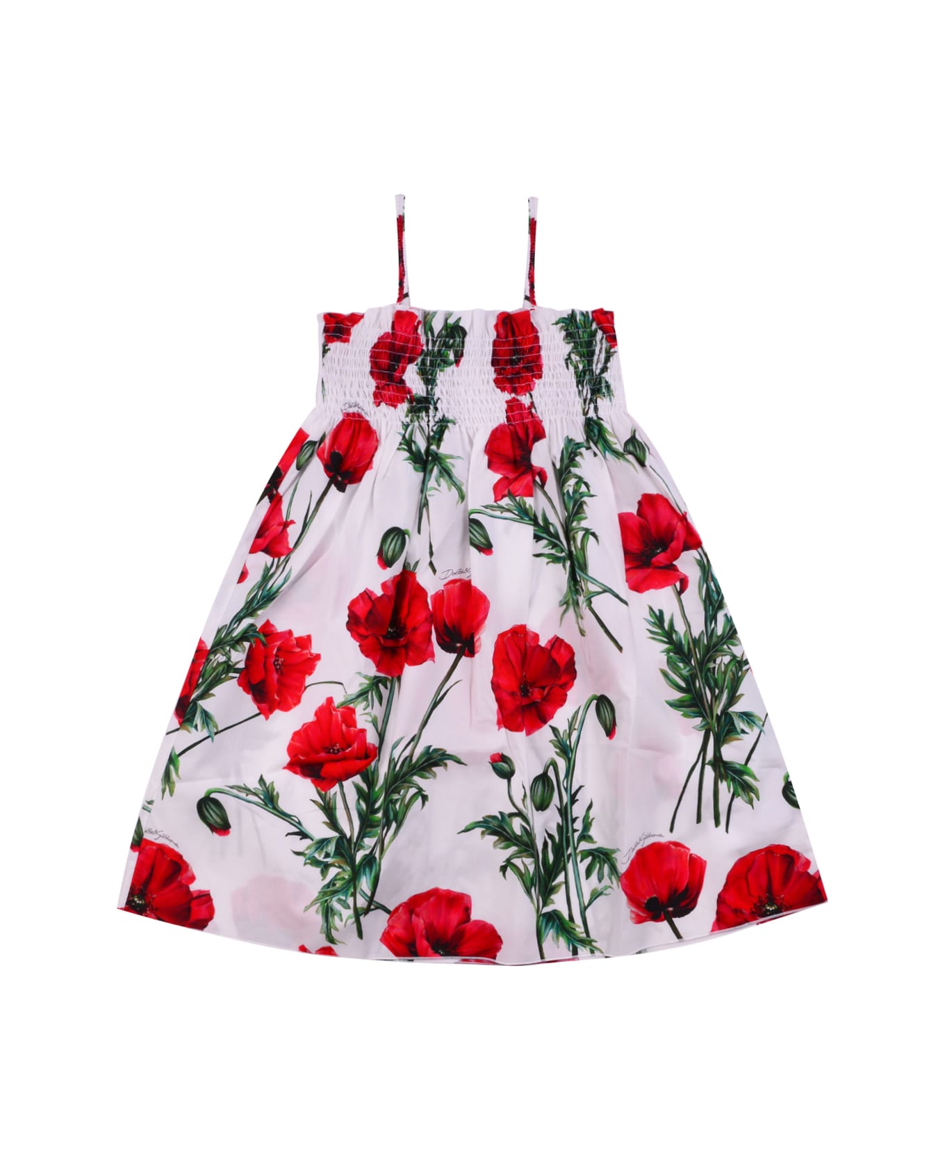 Dolce & Gabbana Poplin Dress With Poppy Print - Multicolor
