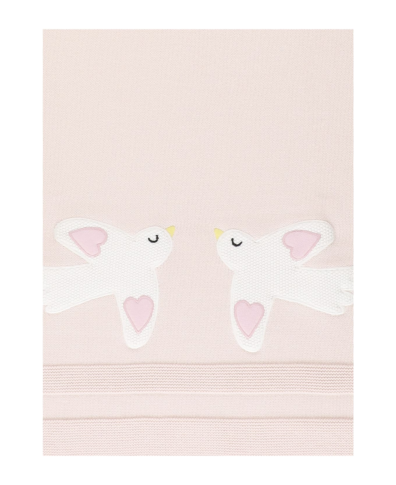 Stella McCartney Blanket With Embroidery - Pink