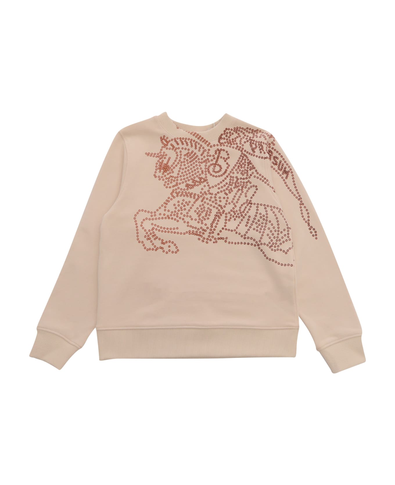 Burberry Kid Boy Sweaters - MULTICOLOR