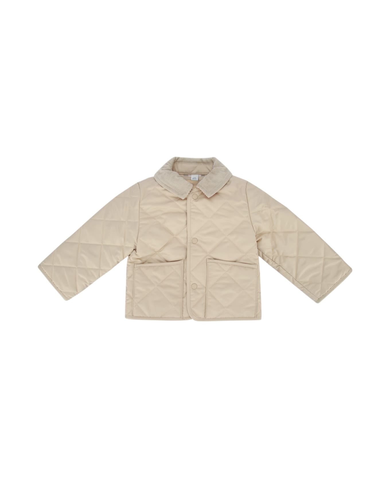 Burberry N6 Tommy - PALESTONE