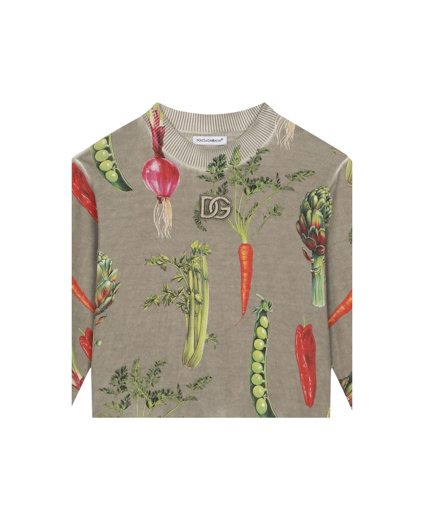 Dolce & Gabbana Crewneck Sweatshirt - MULTICOLOUR