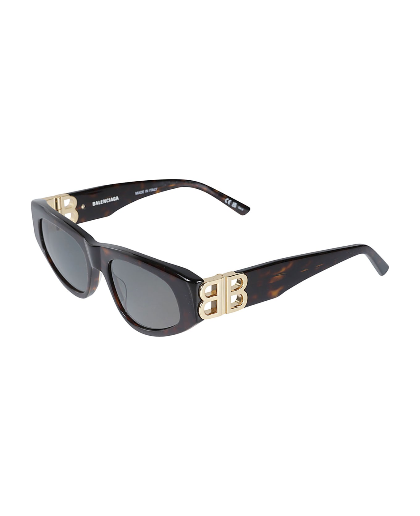 Balenciaga Eyewear One-size Sunglasses - Havana/Gold/Green