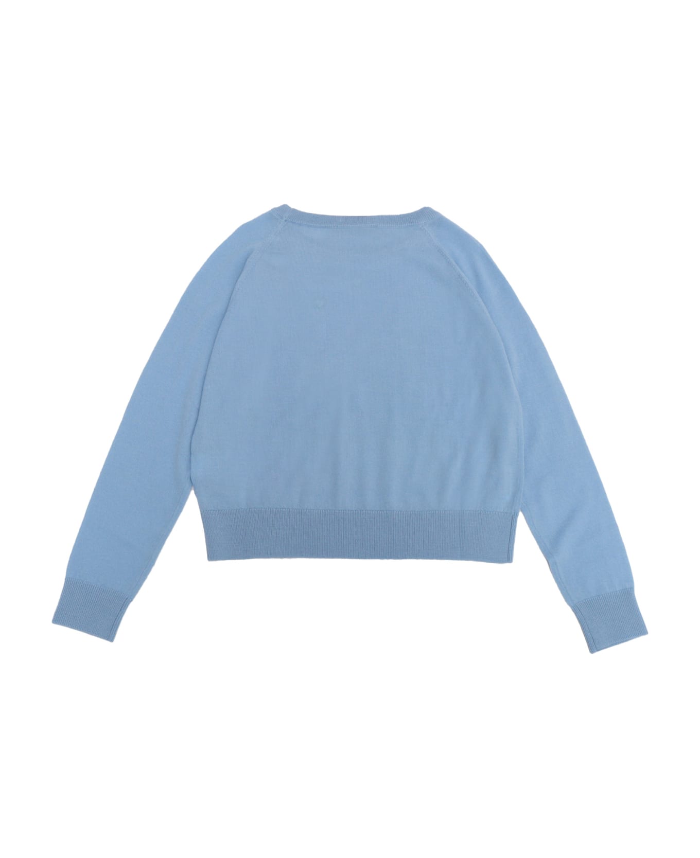 Max&Co. Light Blue Sweater - LIGHT BLUE