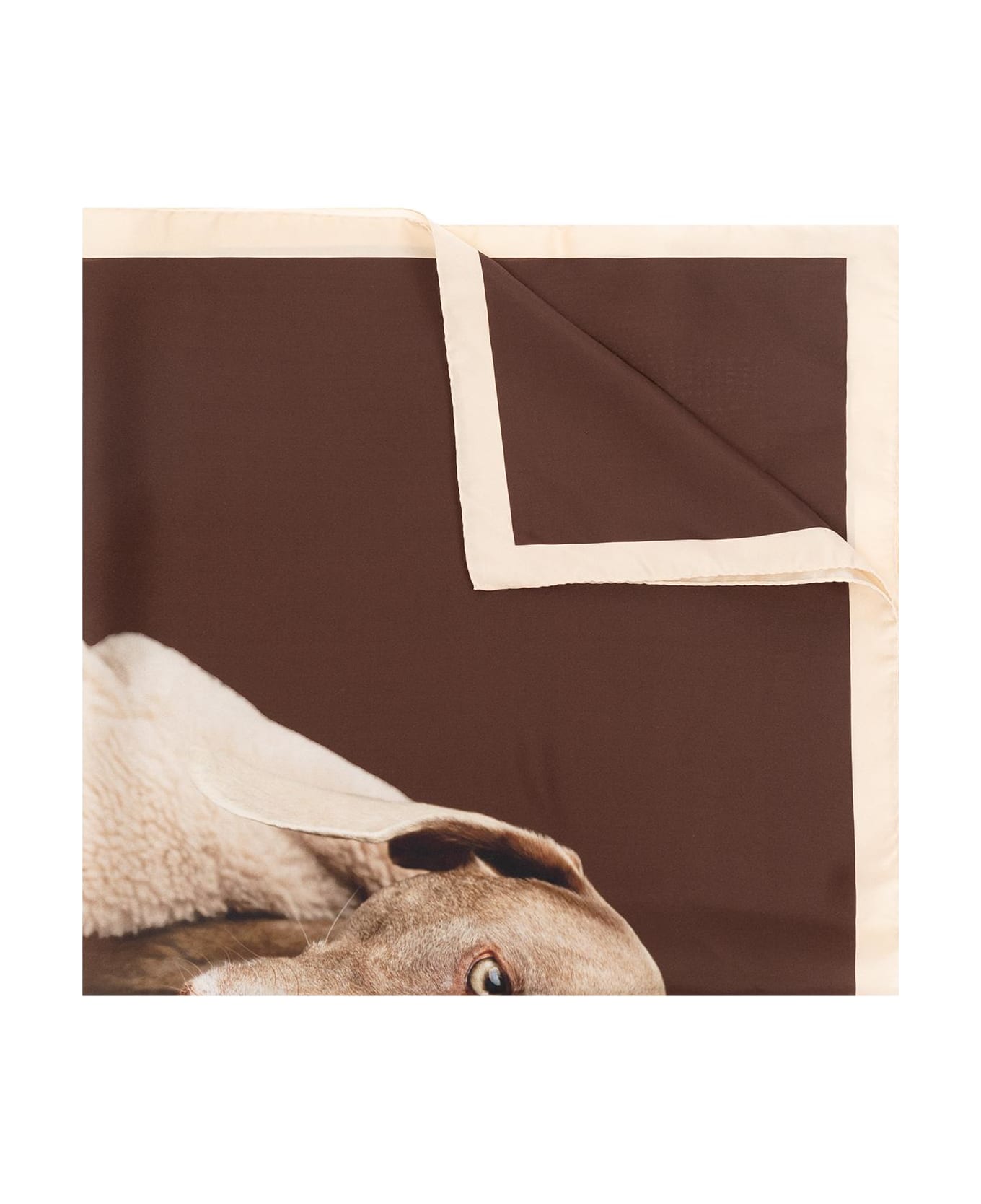 Max Mara Dog Printed Scarf - Cuoio