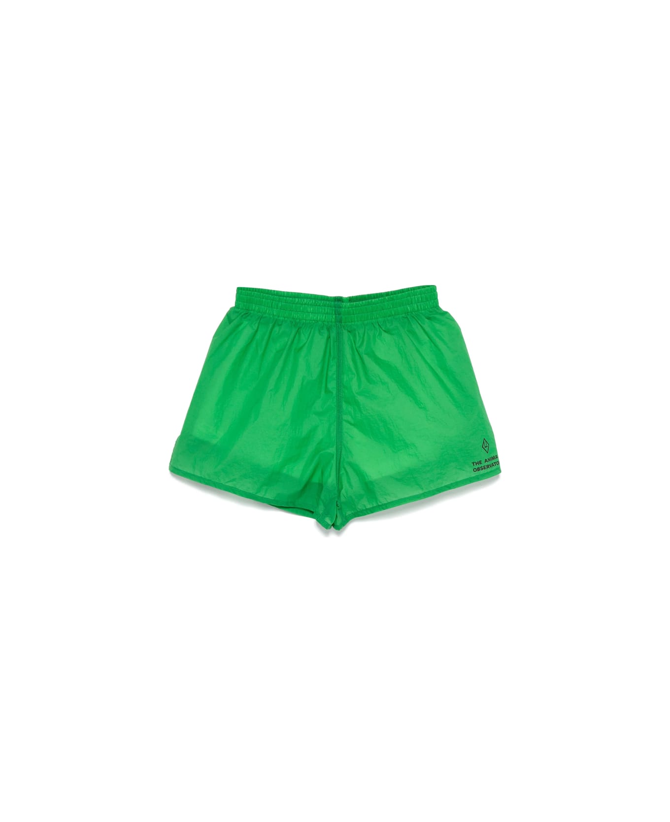The Animals Observatory Short - GREEN