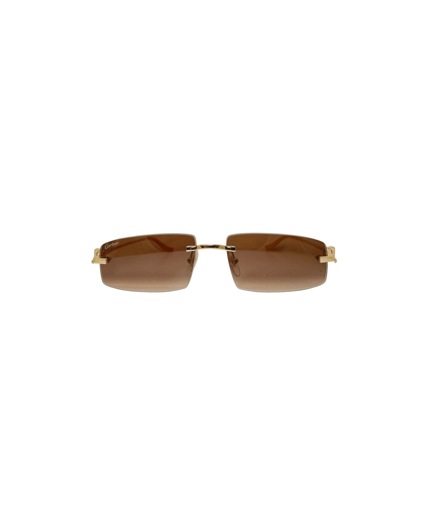 Cartier Eyewear Ct 0505 Sunglasses