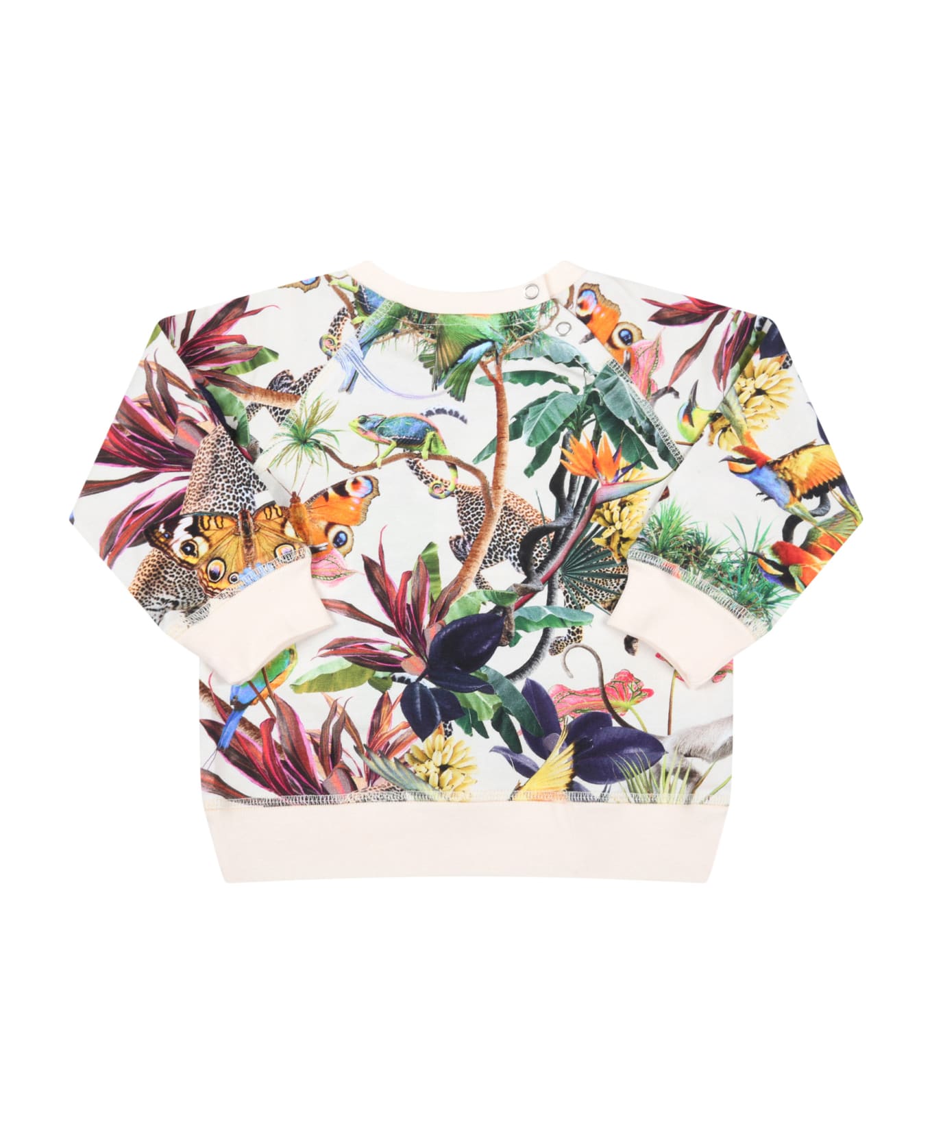 Molo Ivoory Sweatshirt For Baby Girl With Animals - Multicolor