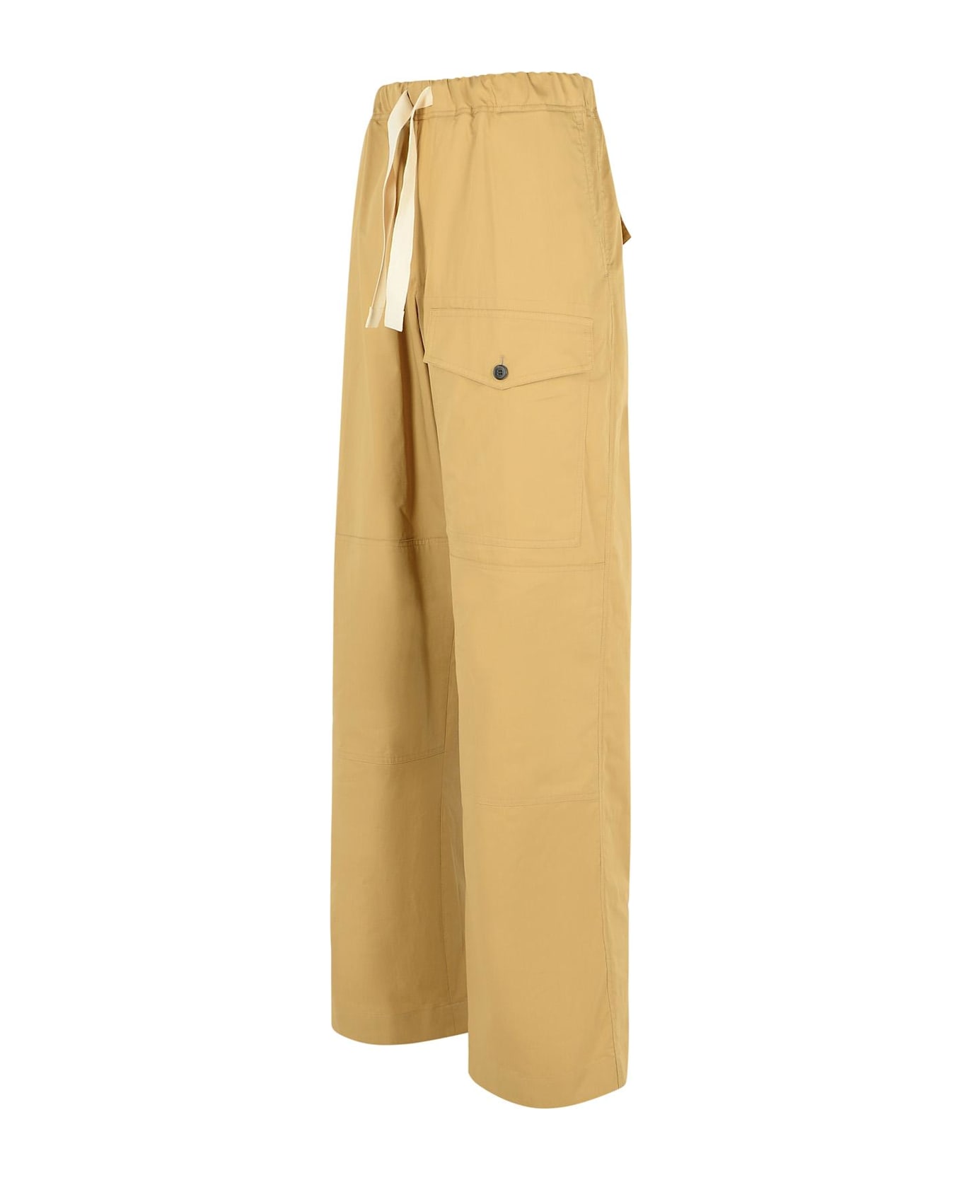Dries Van Noten 
pannoch
 Beige Cotton Pants - Beige