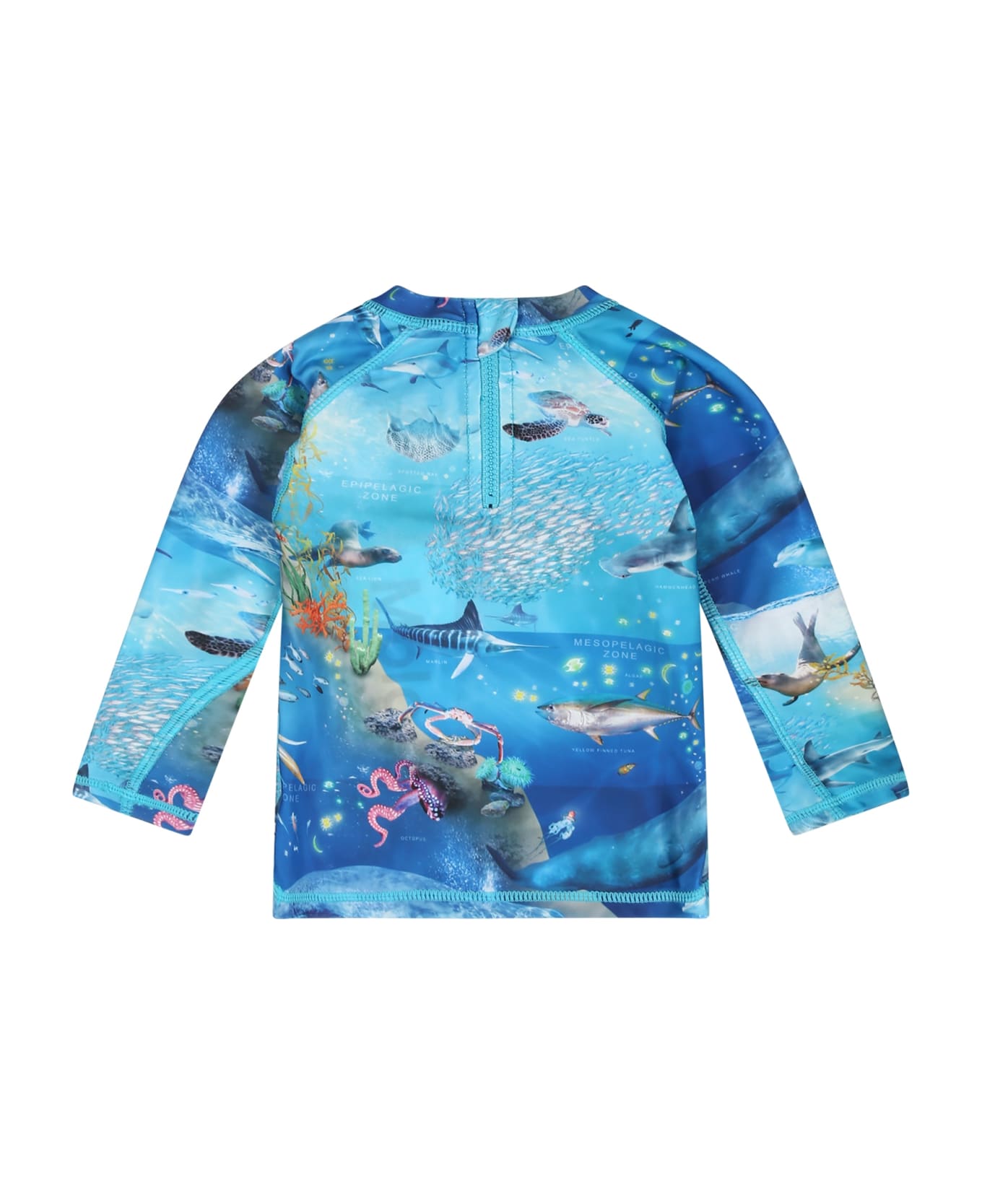 Molo Light Blue T-shirt For Baby Boy With Marine Animals - Light Blue Tシャツ＆ポロシャツ