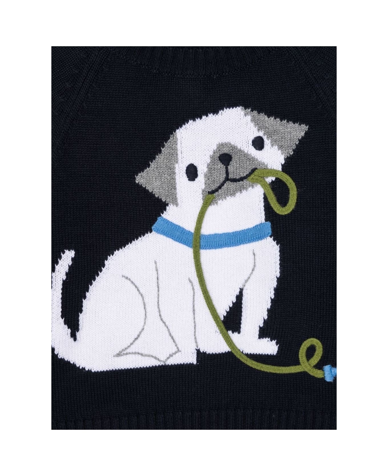 Il Gufo Kids Baby Boy's Blue Cotton Sweater With Dog Print - Blu