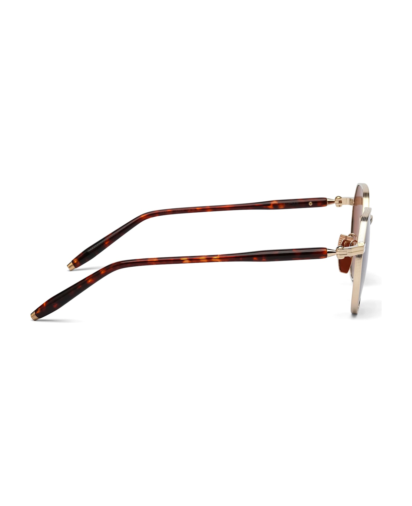 Akoni Themis - 12k Gold / Havana Sunglasses - havana/gold
