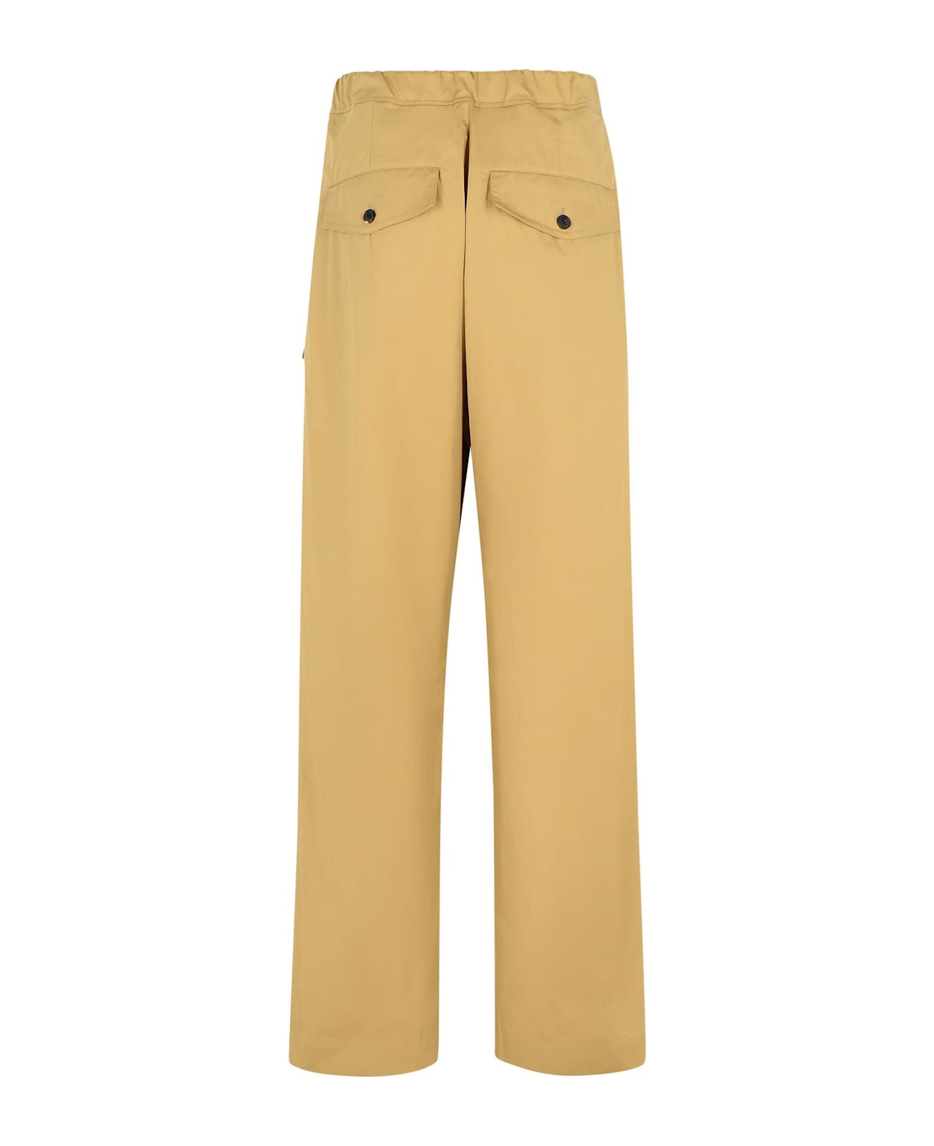 Dries Van Noten 
pannoch
 Beige Cotton Pants - Beige