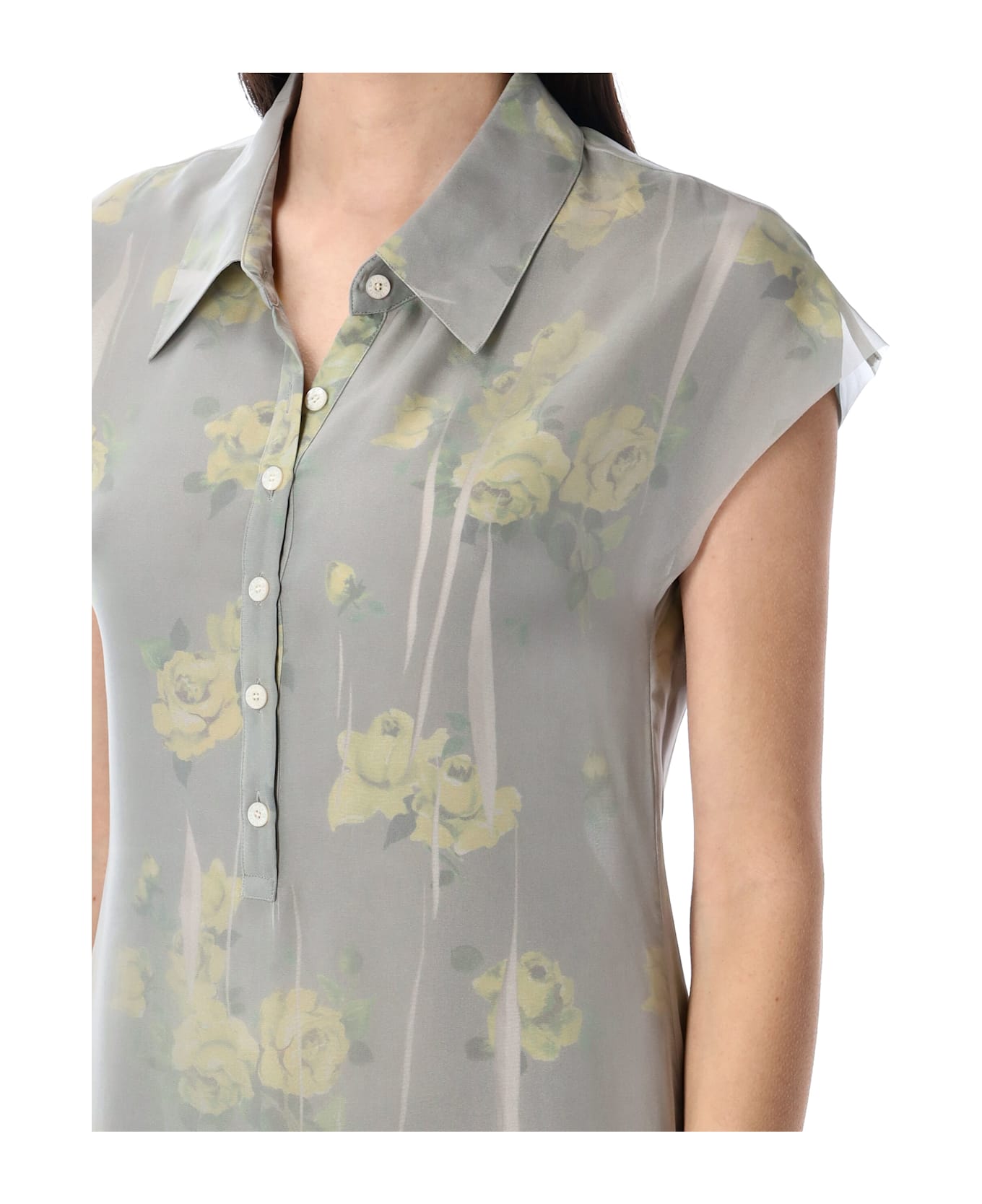 Acne Studios Dranee Rose Print Long Dress - YELLOW GREY