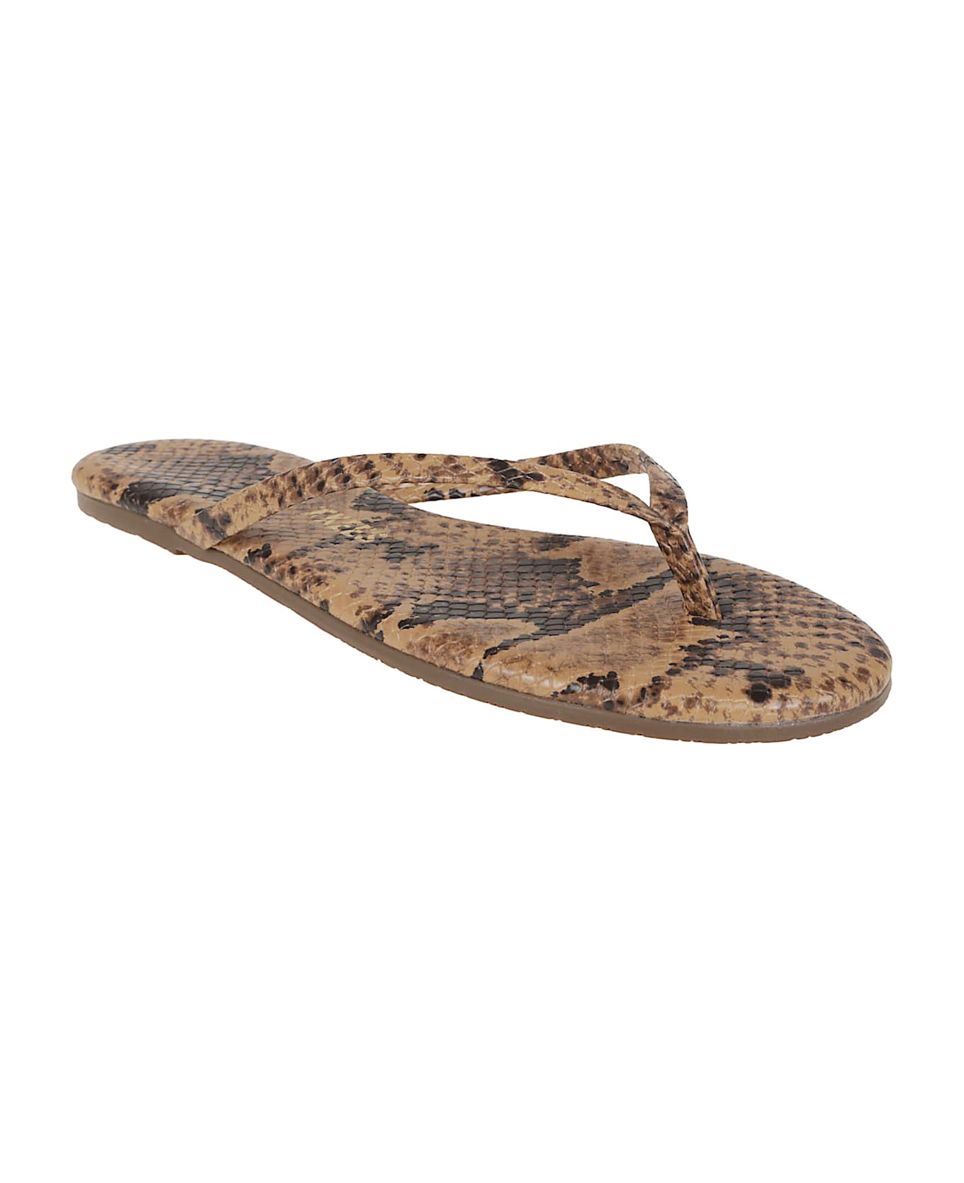 Tkees Studio Exotic - Studio Exotic Coco Snake