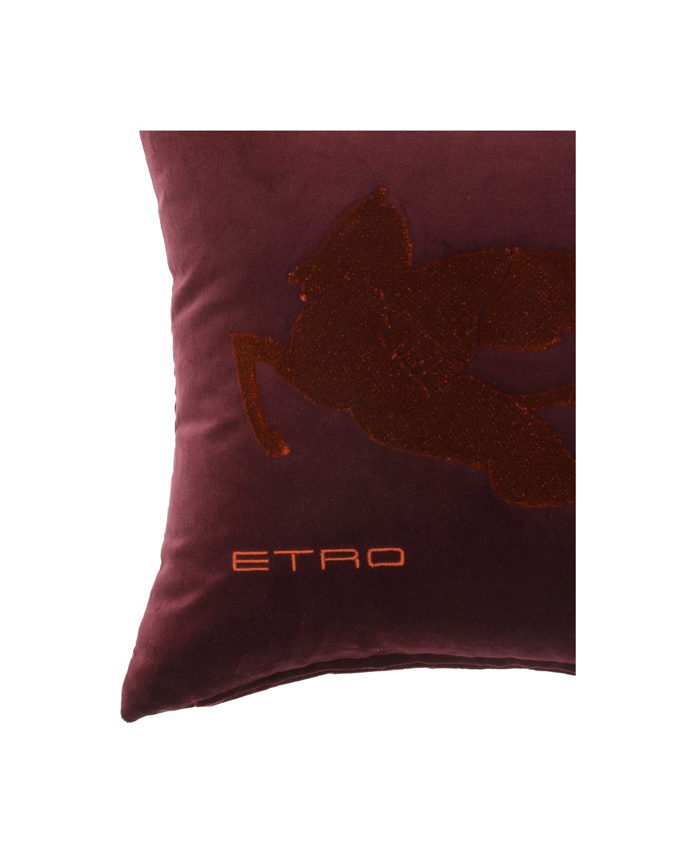 Etro Pillow - 407