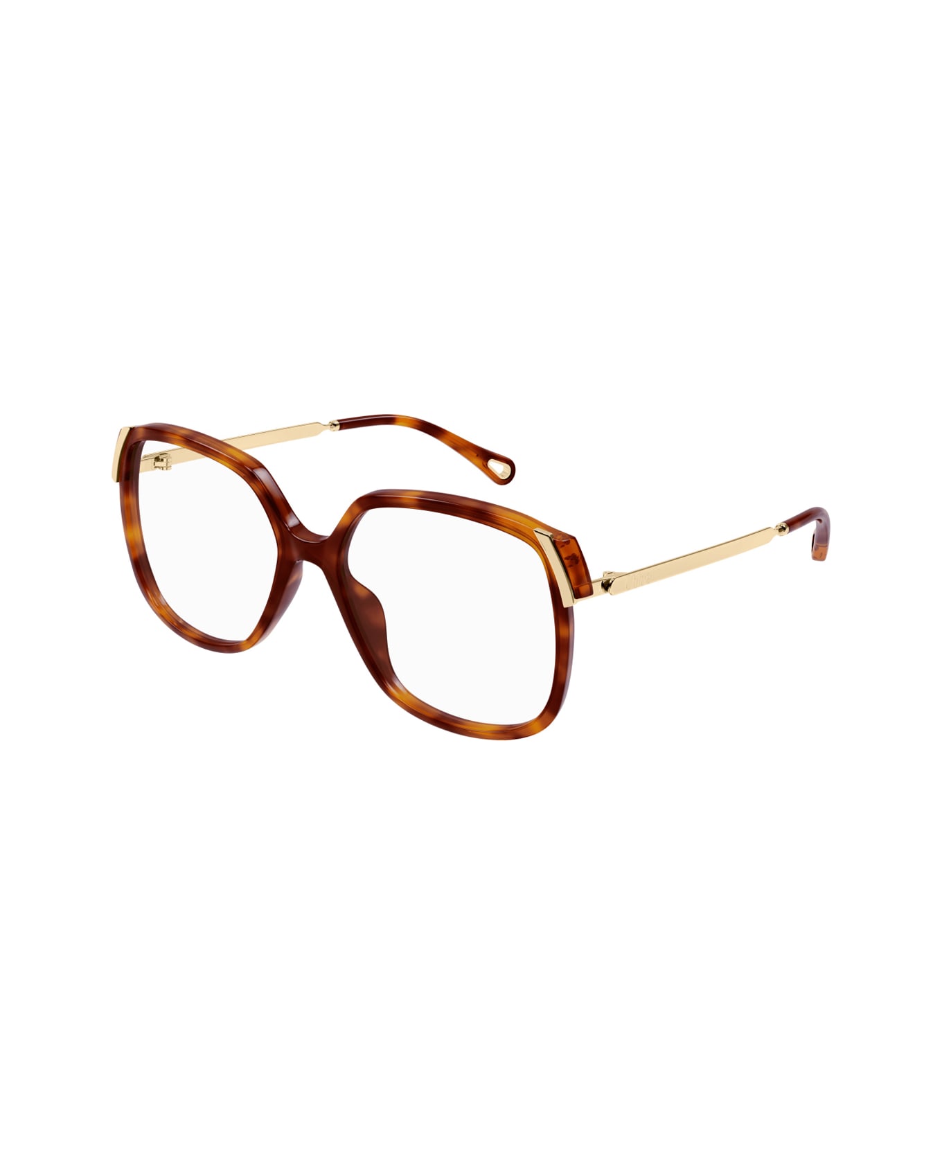 Chloé Ch0287o Aly Linea Chloé 002 Havana Gold Glasses - Havana
