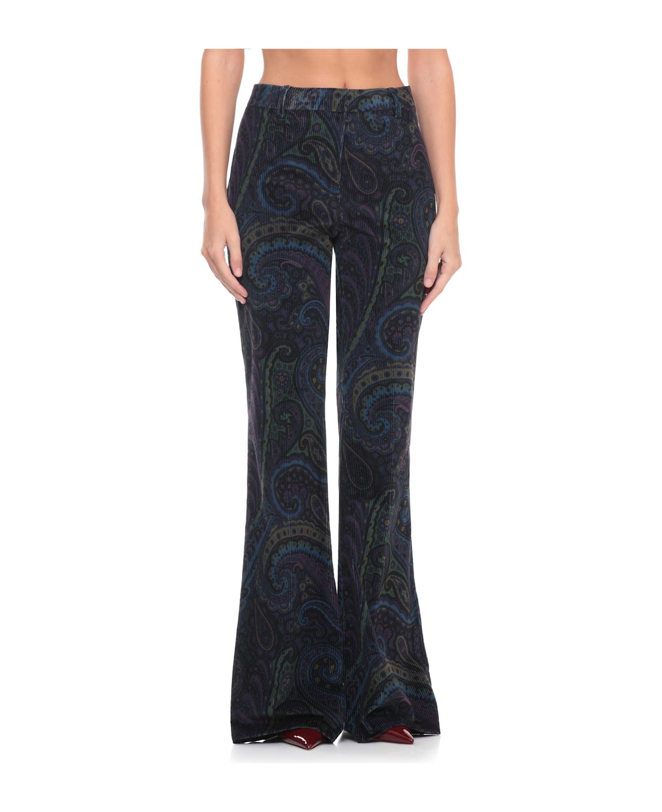 Etro Velvet Pants - MULTICOLOUR