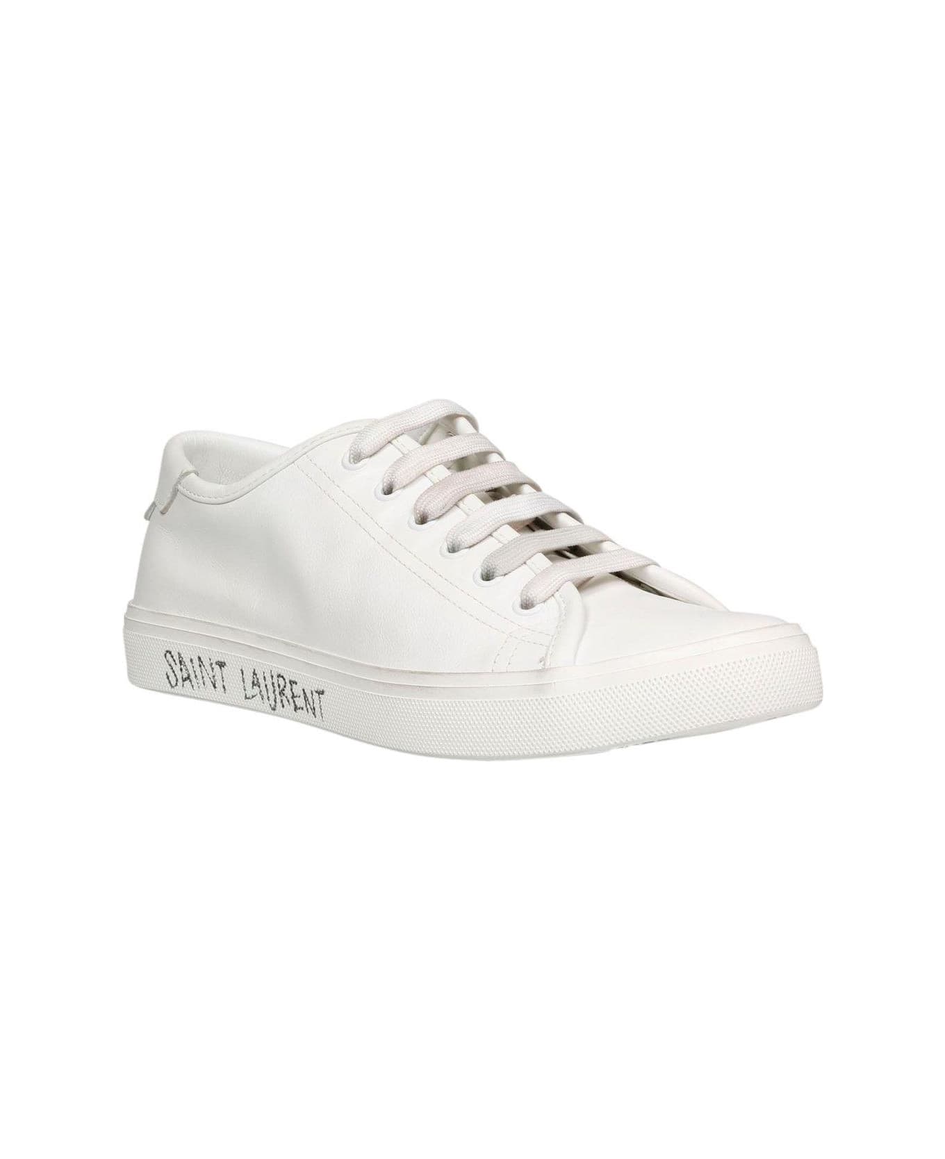Saint Laurent Malibu Low-top Sneakers - Bianco