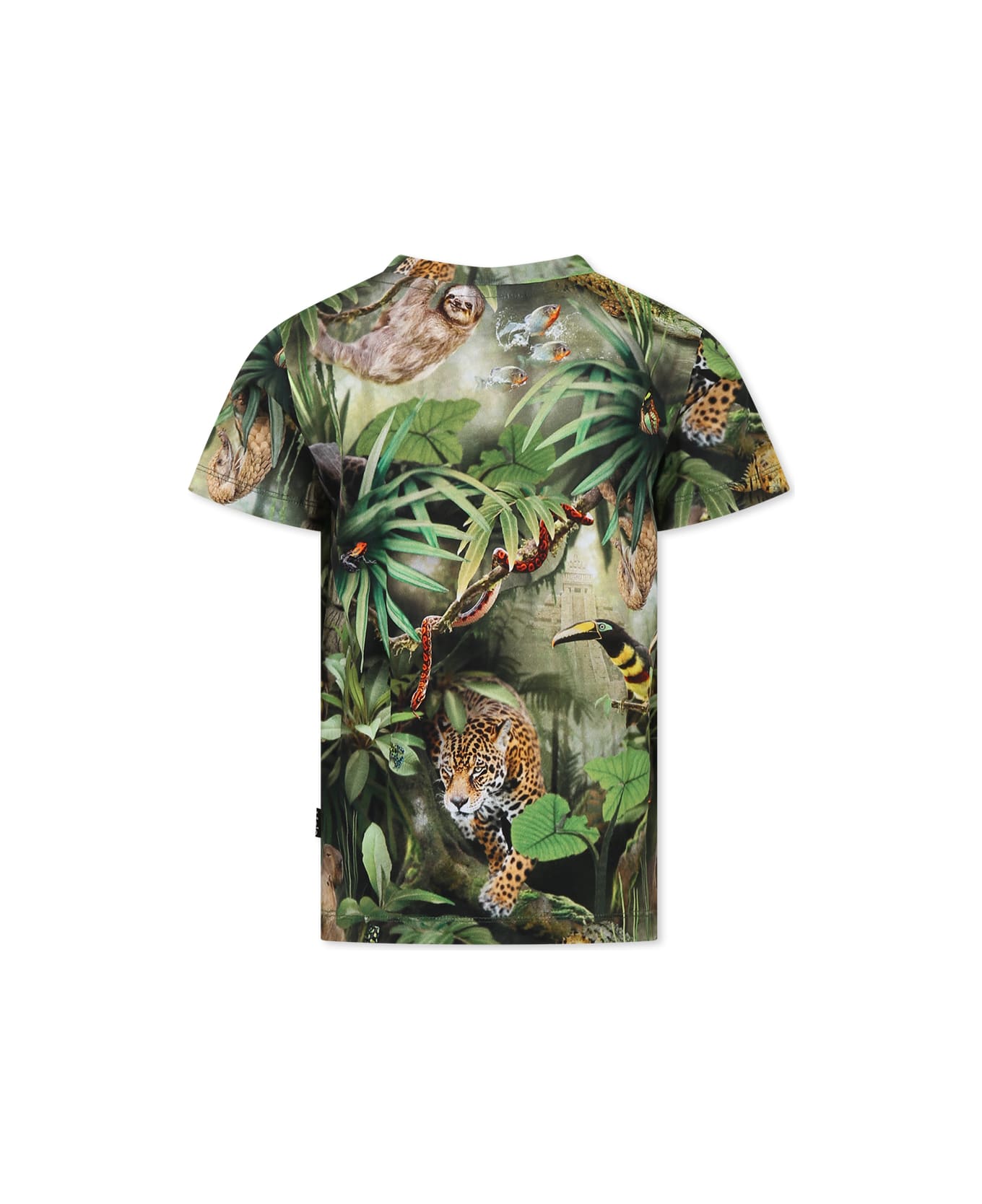 Molo Green T-shirt For Boy With Jungle Animal Print - Green