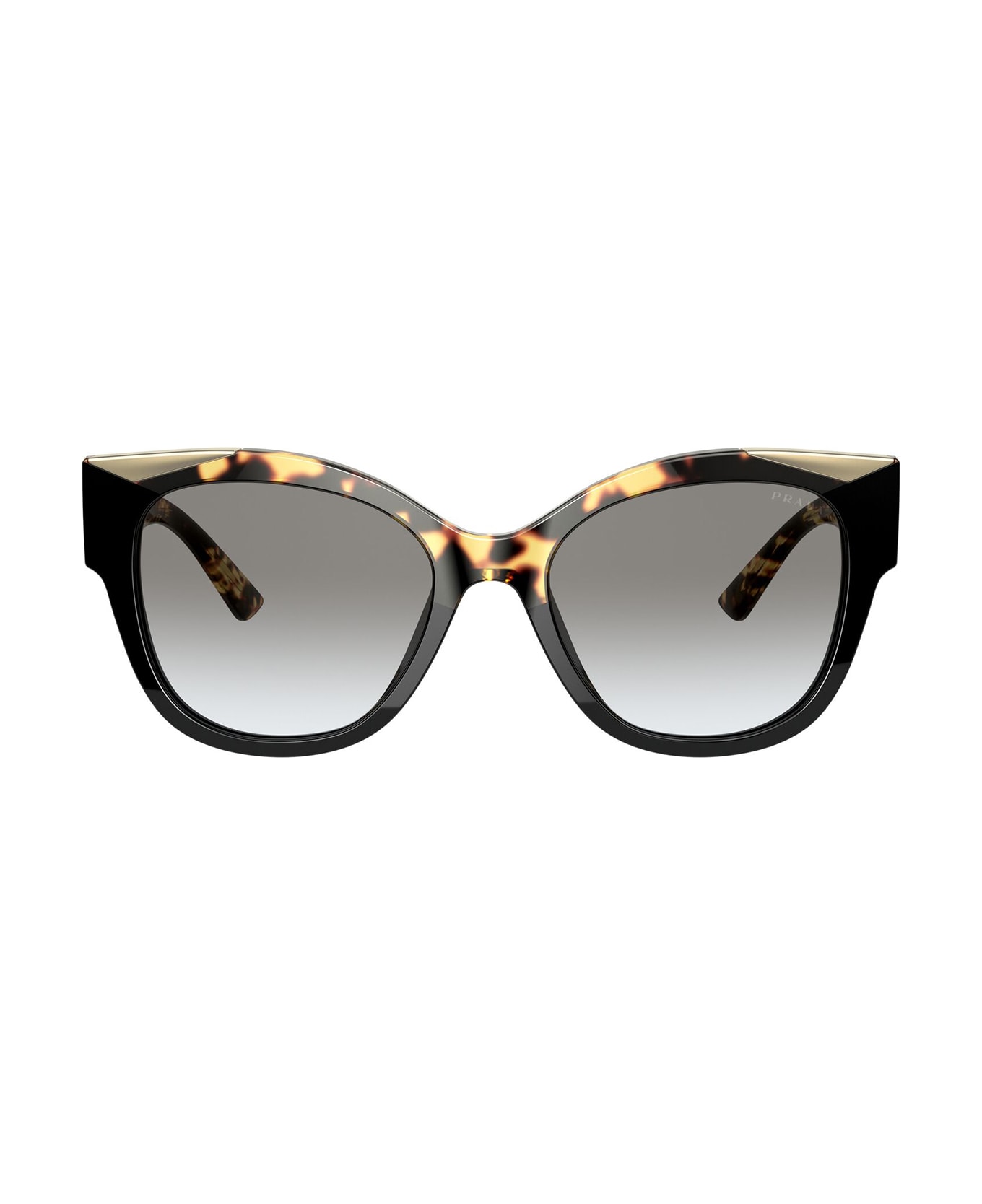 Prada Eyewear Pr 02ws Black / Medium Havana Sunglasses - Black / Medium Havana