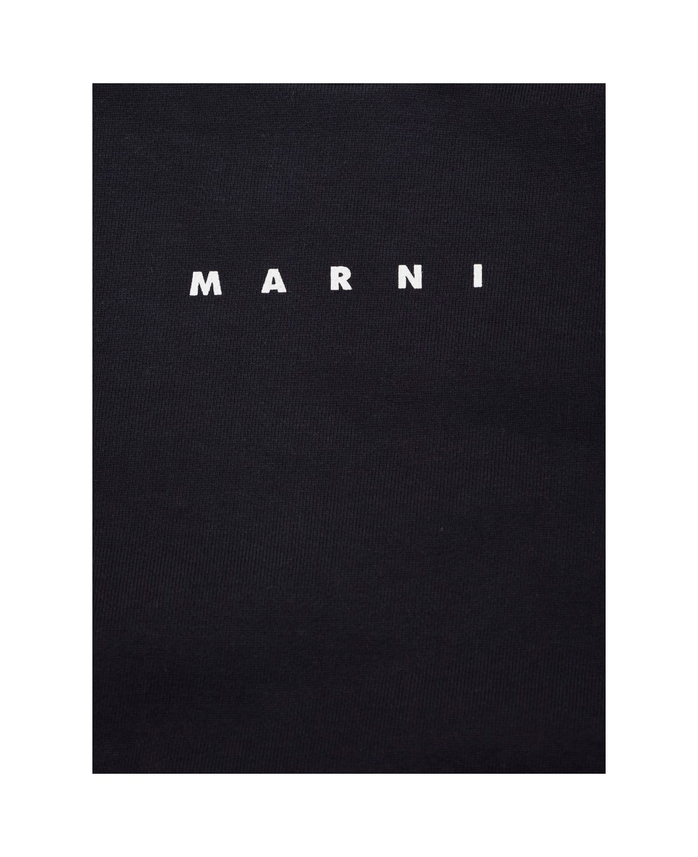 Marni Blue Crewneck Sweatshirt With Front Logo Print In Cotton Boy - Blu